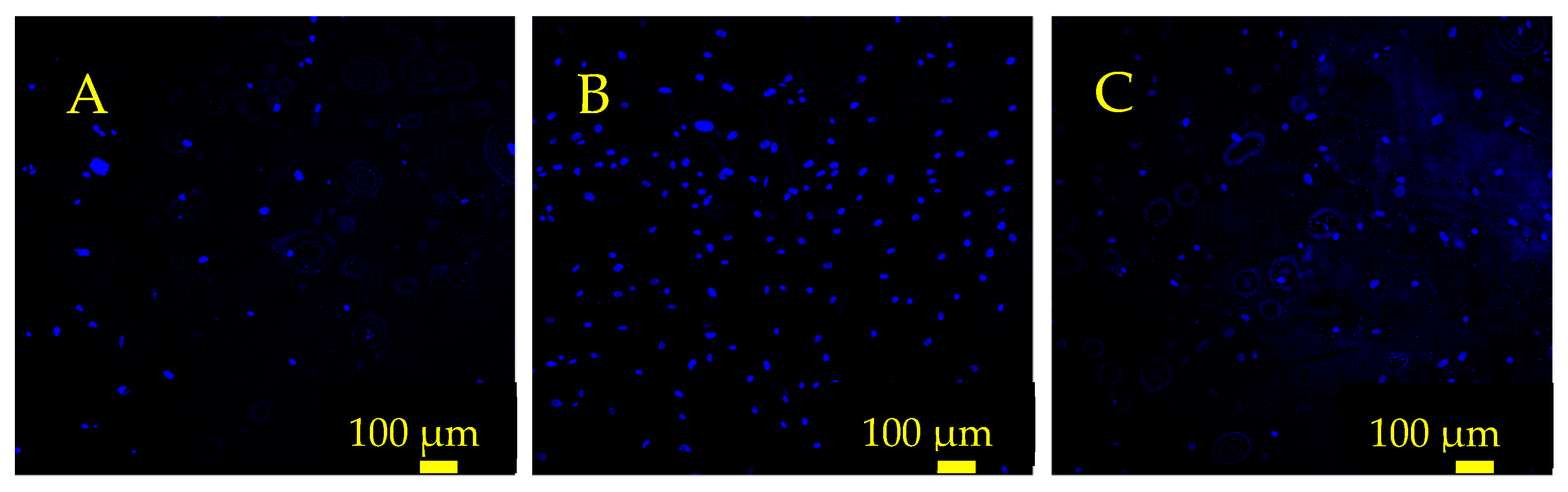 Sensors 23 01832 g011 Sensors 23 01832 g011