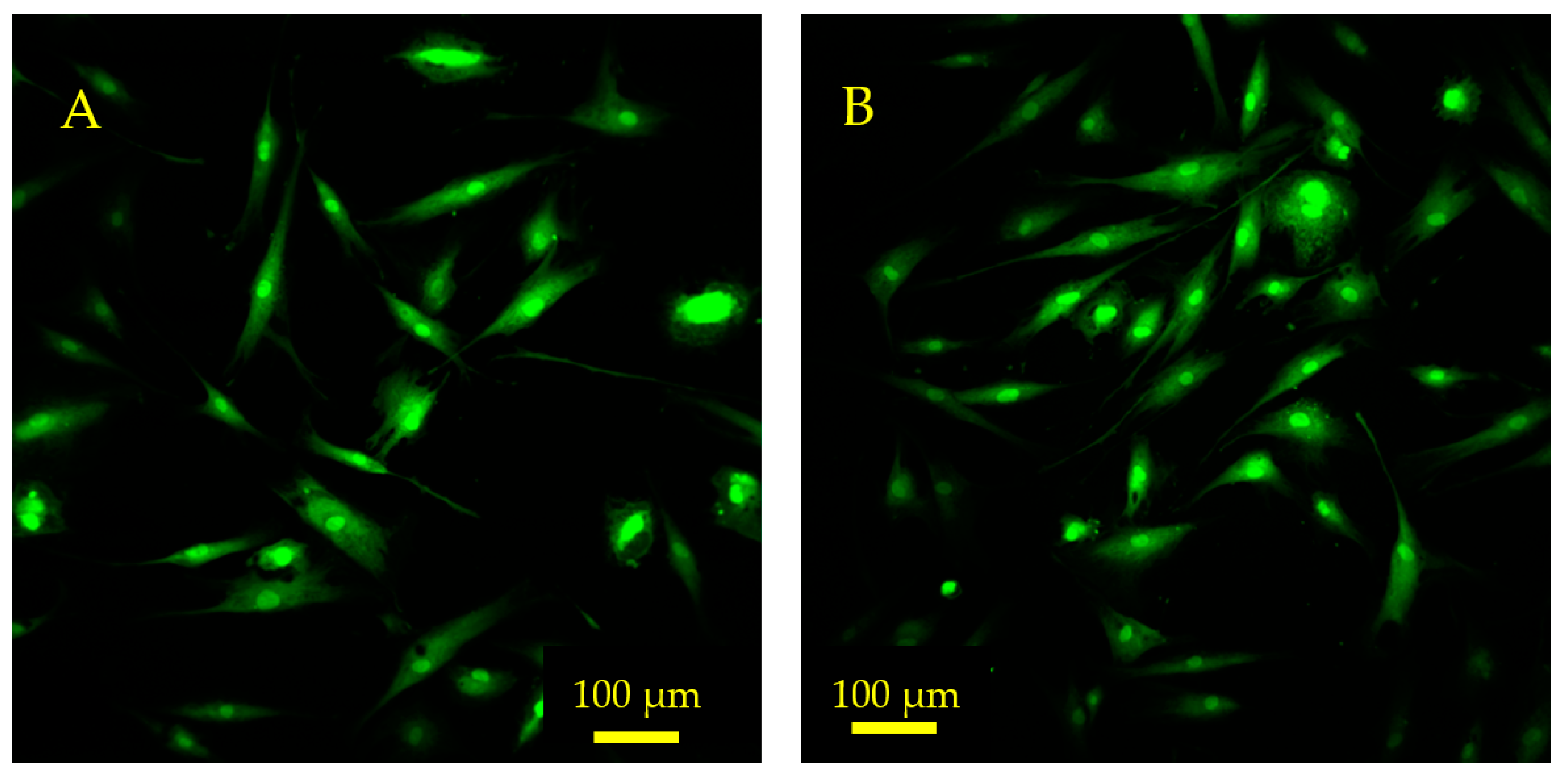 Sensors 23 01832 g015 Sensors 23 01832 g015