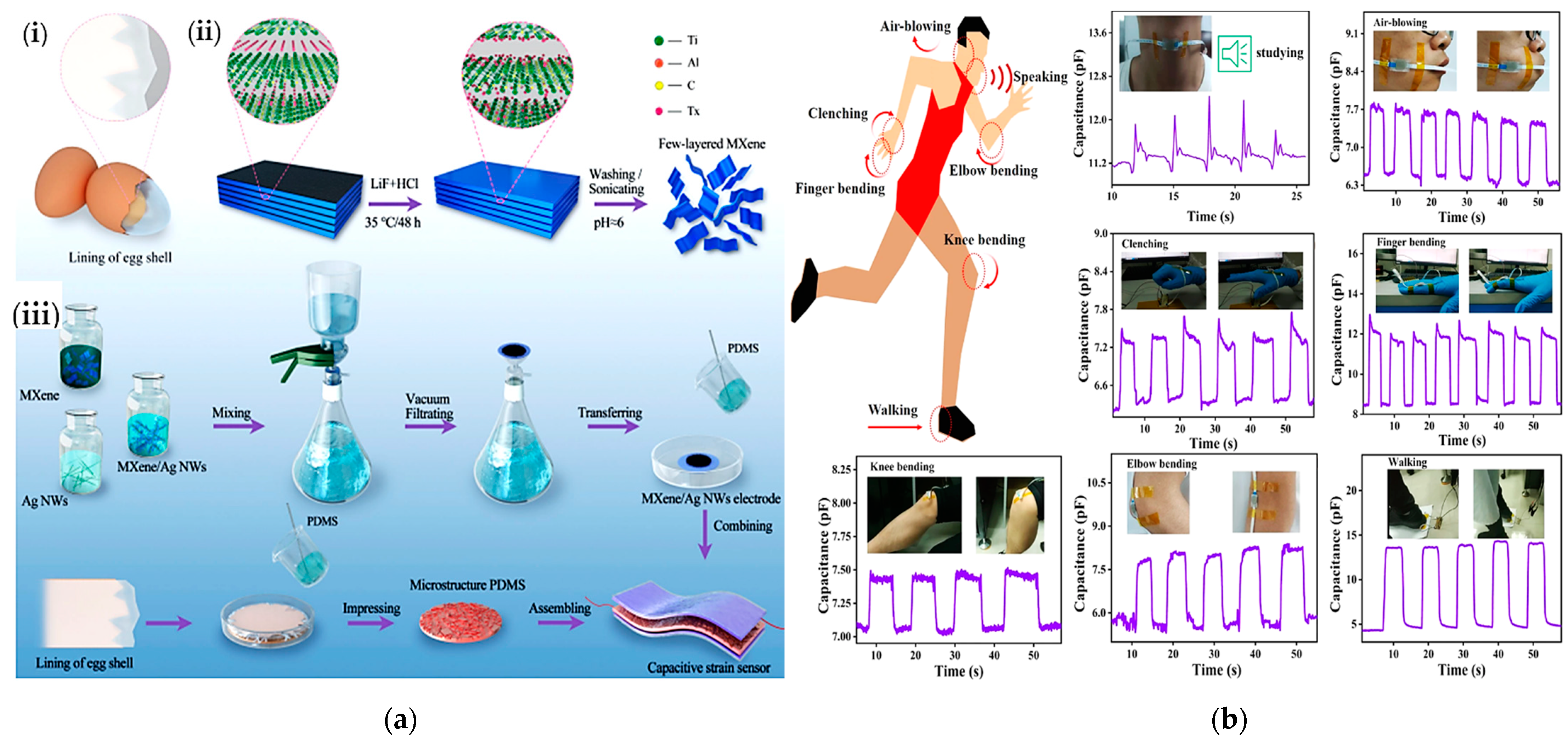 Sensors 23 01856 g009a