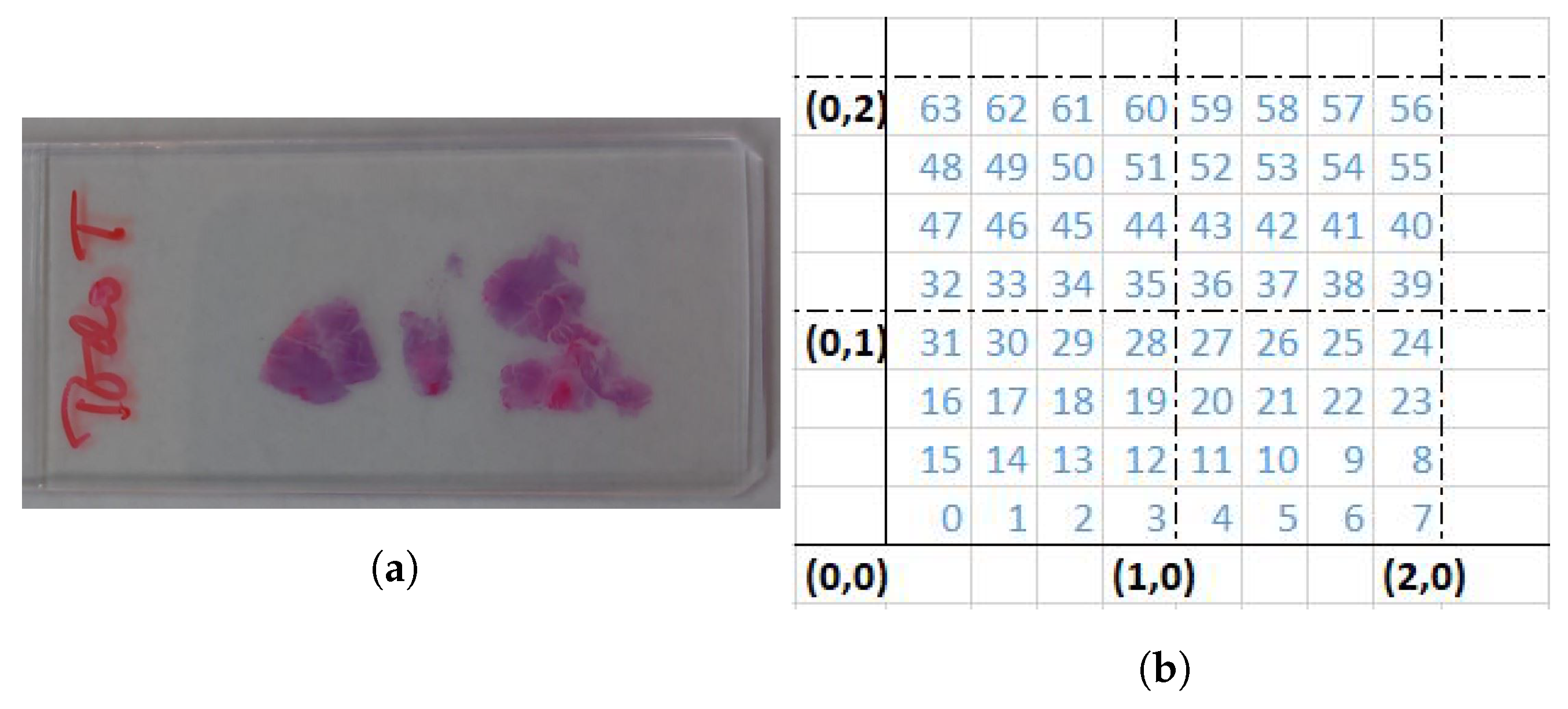 Sensors 23 01863 g002