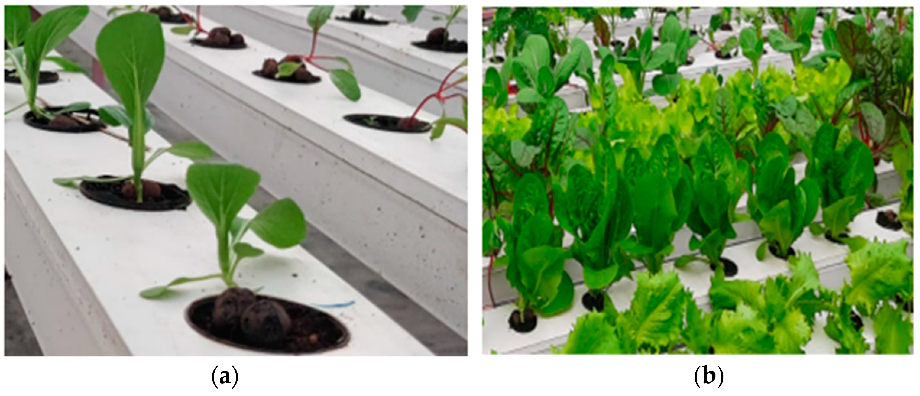 Sensors 23 01875 g004 550