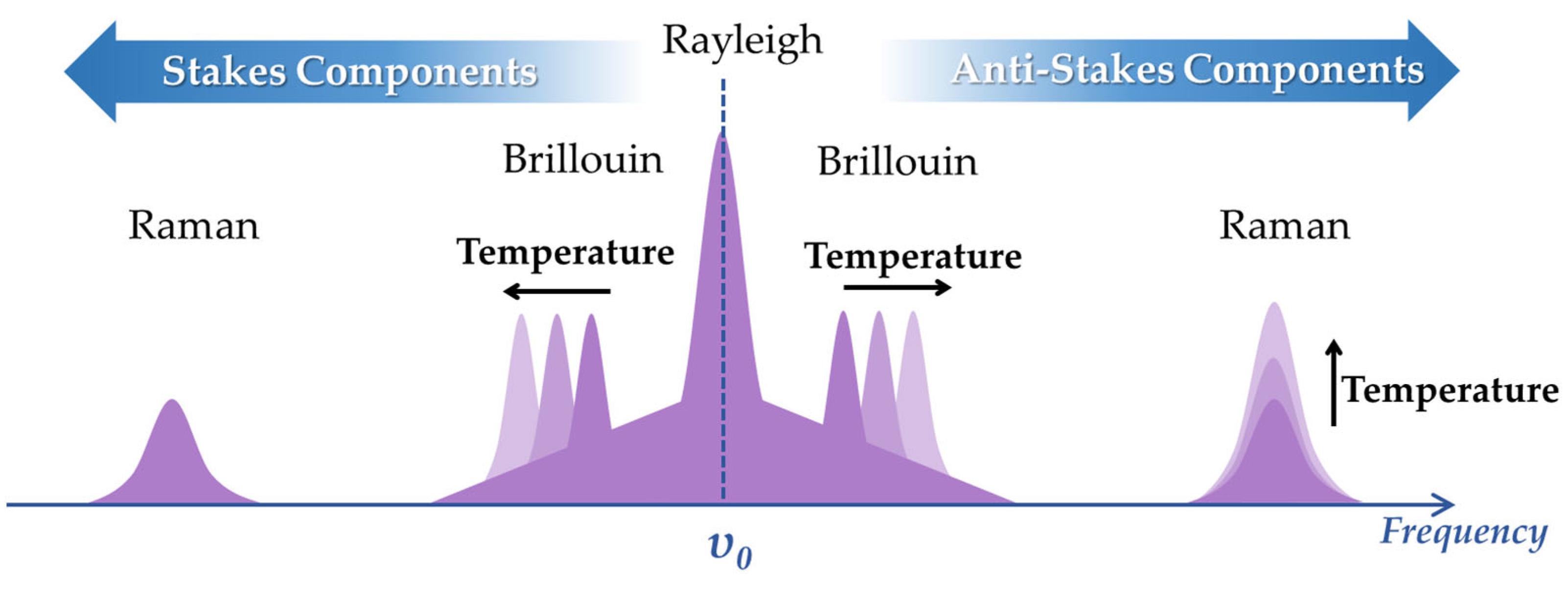 Sensors 23 01877 g010 Sensors 23 01877 g010