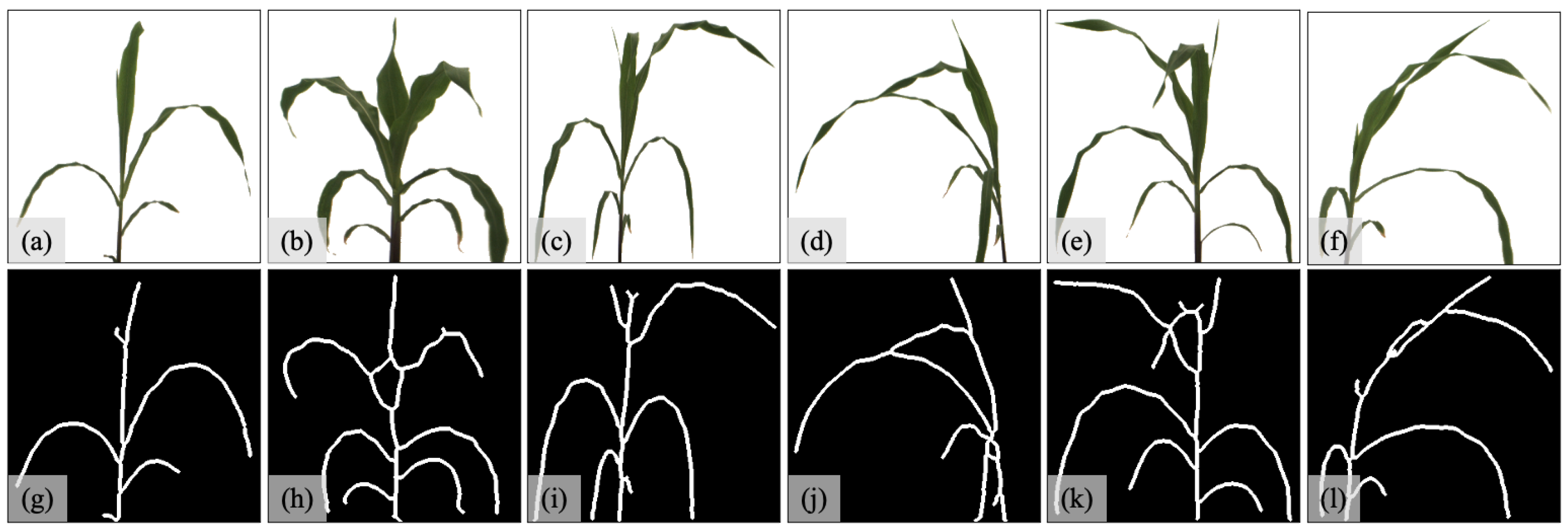 Sensors 23 01890 g007 Sensors 23 01890 g007
