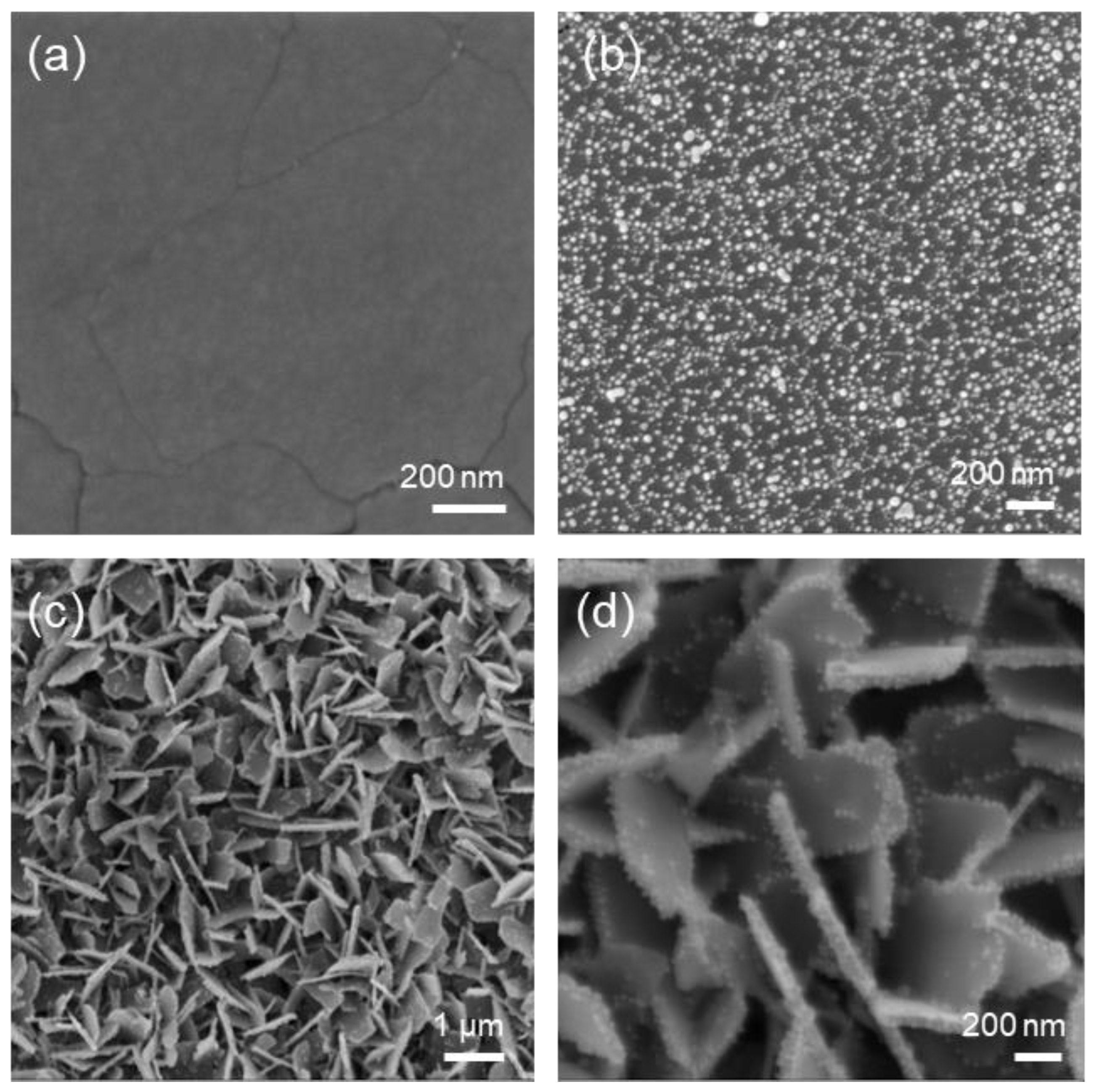 Sensors 23 01936 g002 Sensors 23 01936 g002