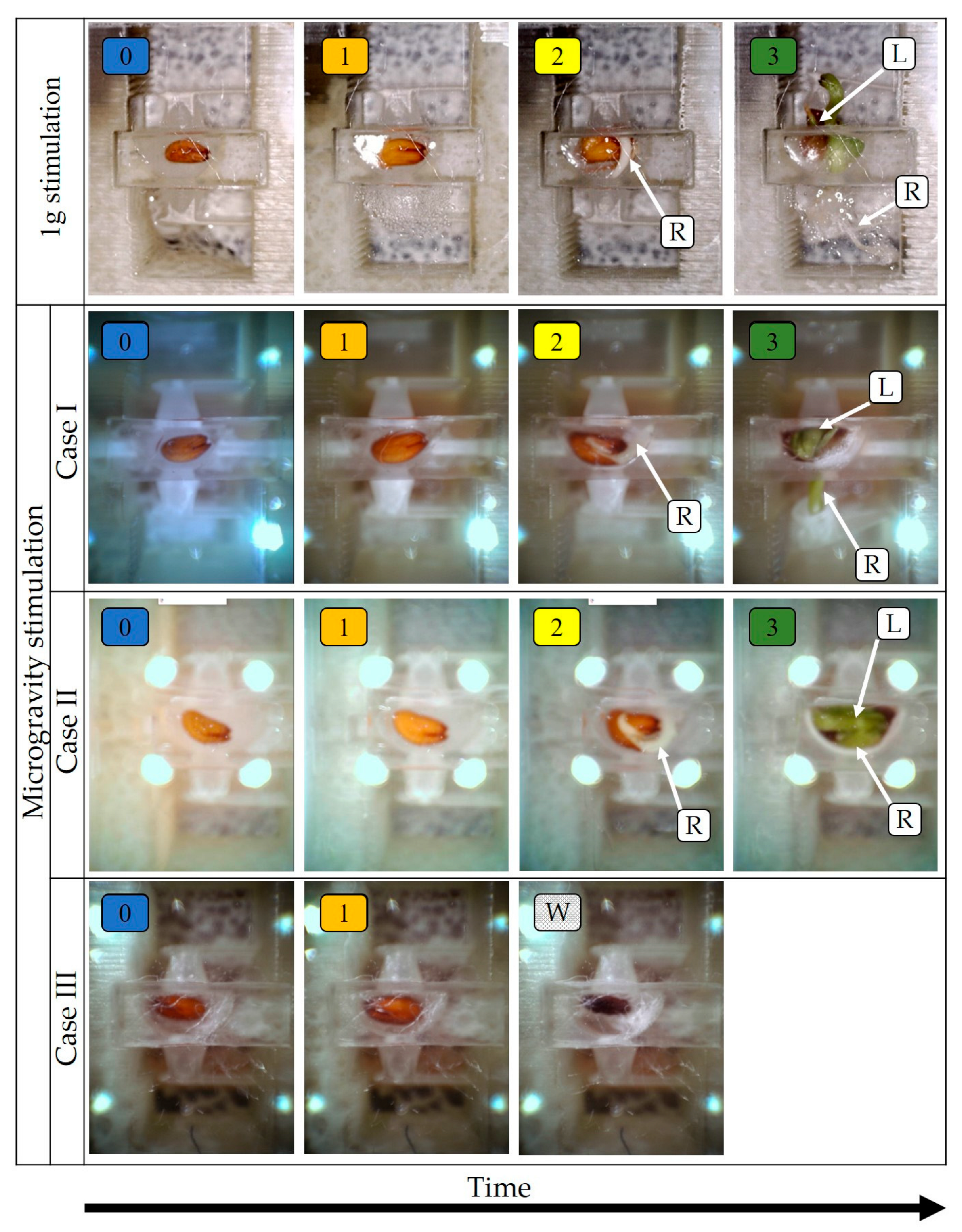 Sensors 23 01974 g005 550