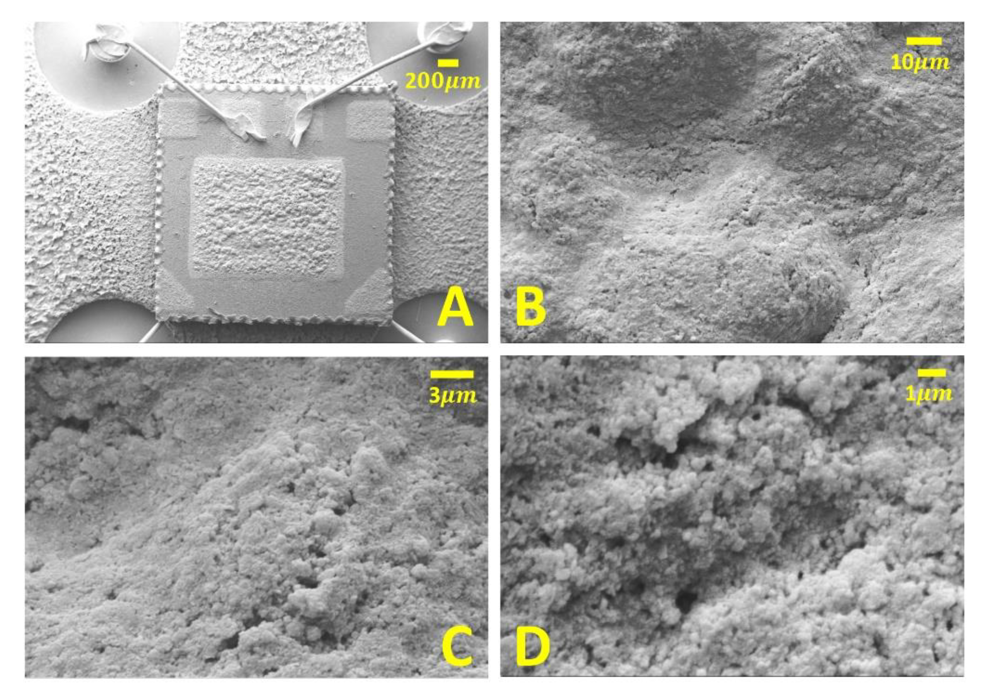 Sensors 23 01983 g003 Sensors 23 01983 g003