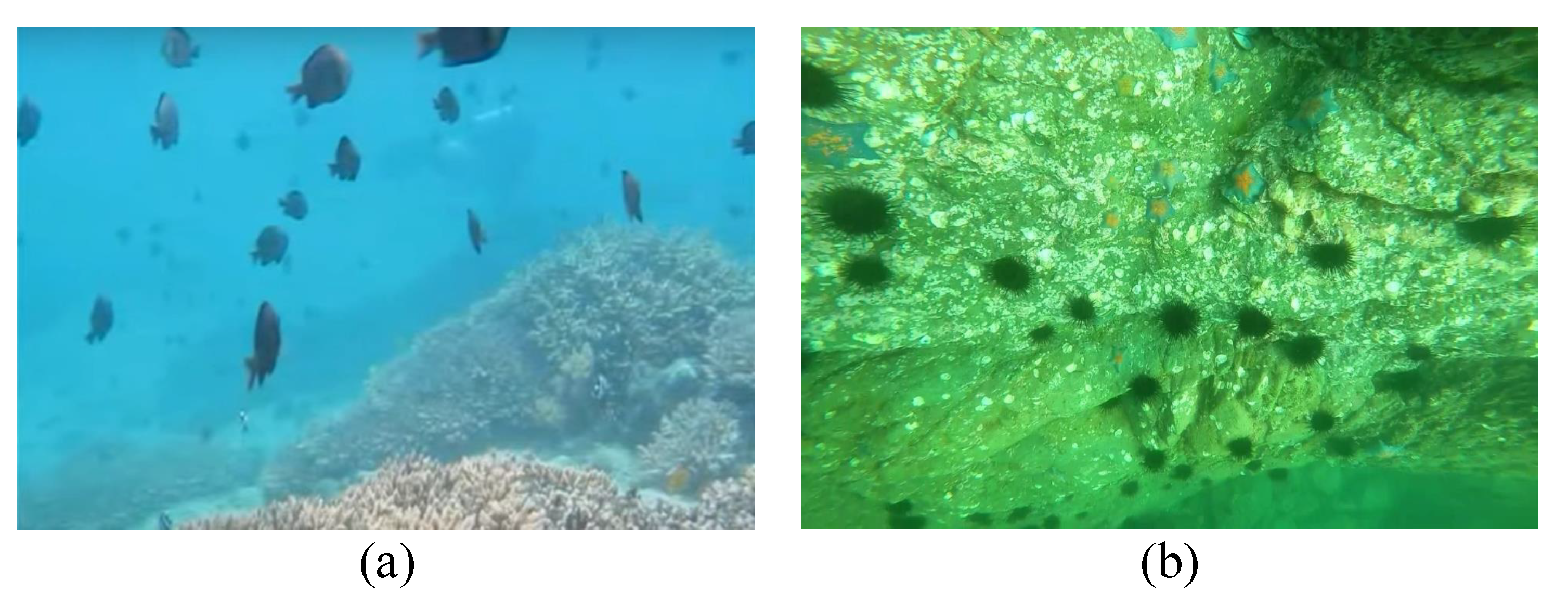 Sensors 23 01990 g005 Sensors 23 01990 g005