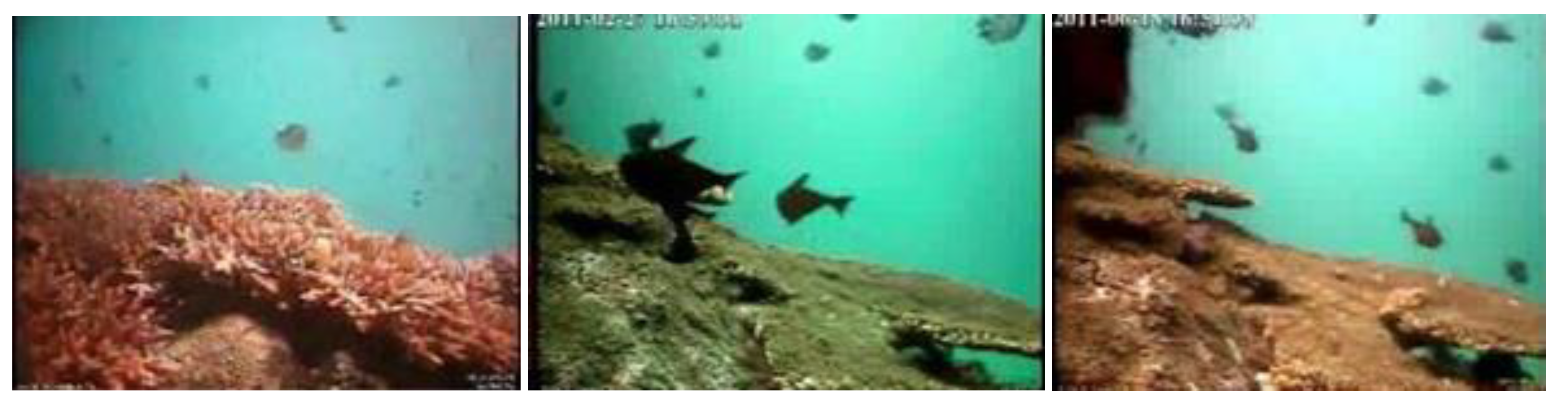 Sensors 23 01990 g022 Sensors 23 01990 g022