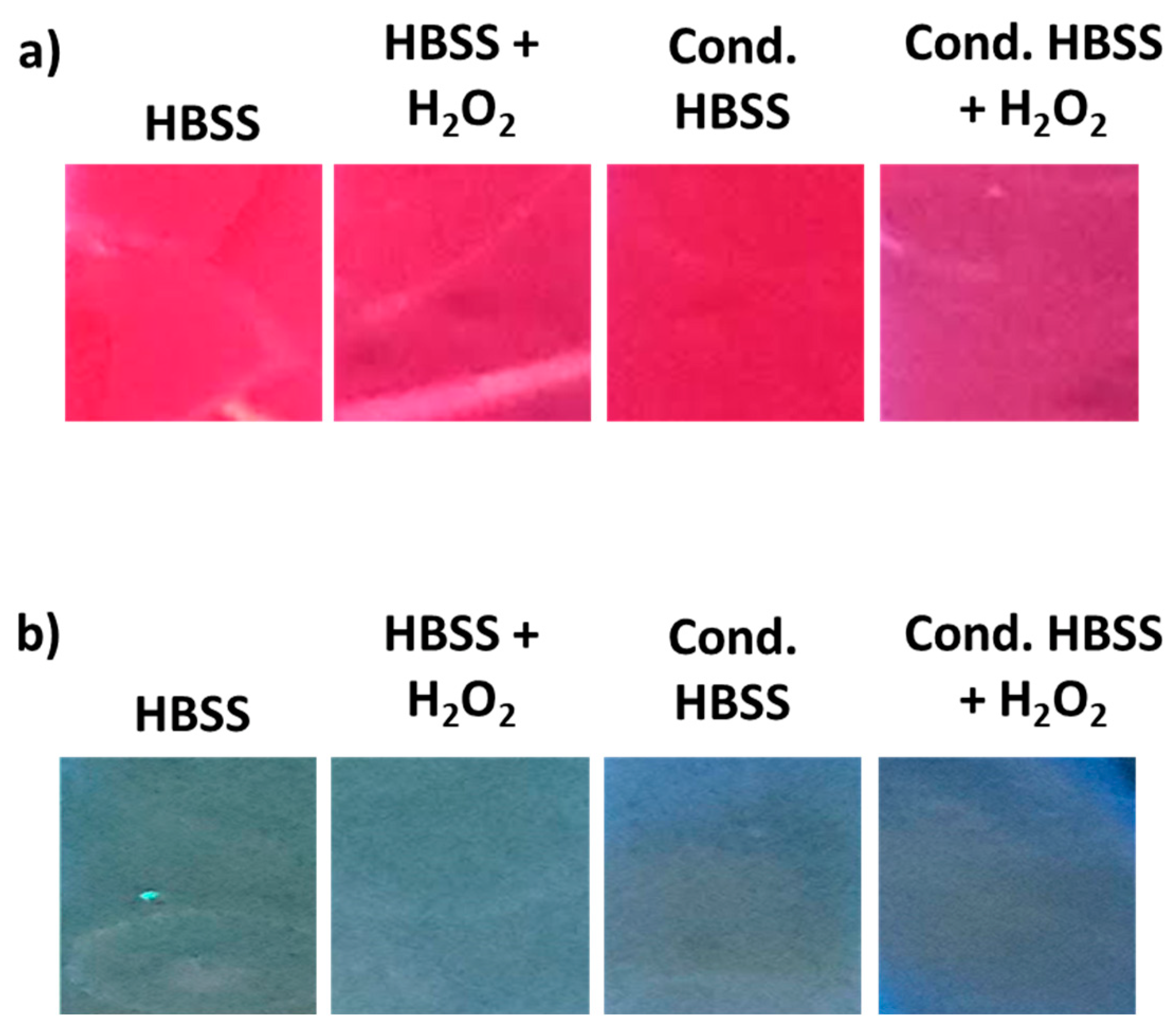 Sensors 23 02023 g008