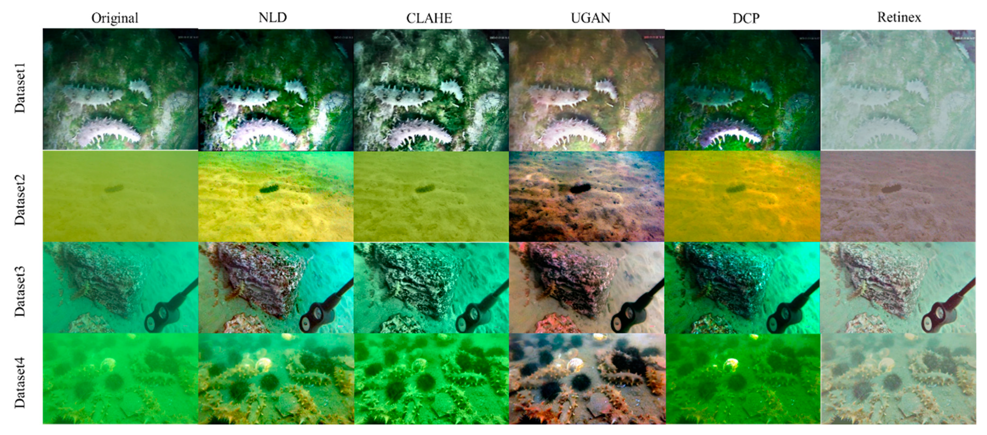 Sensors 23 02037 g007 550