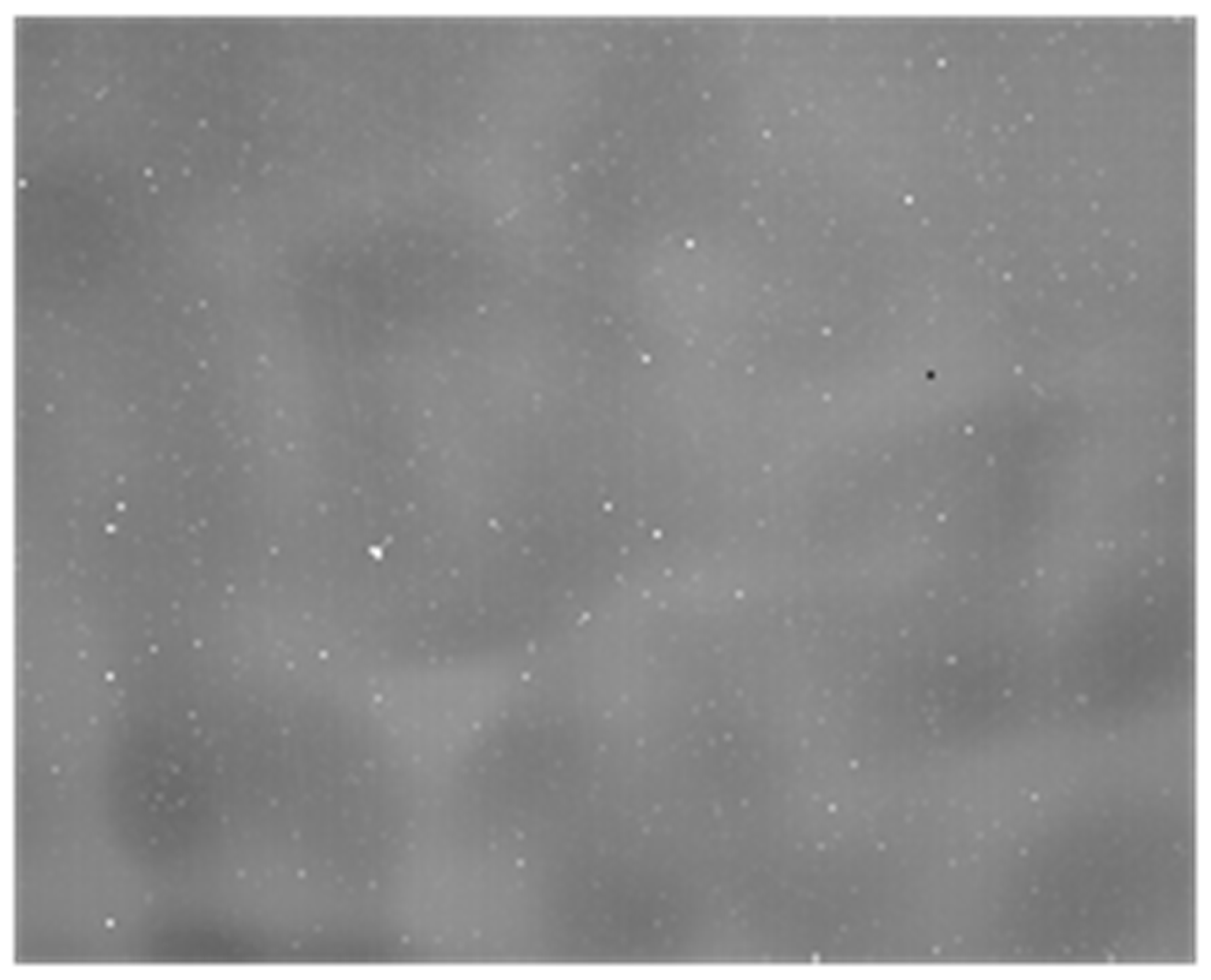 Sensors 23 02054 g021 550