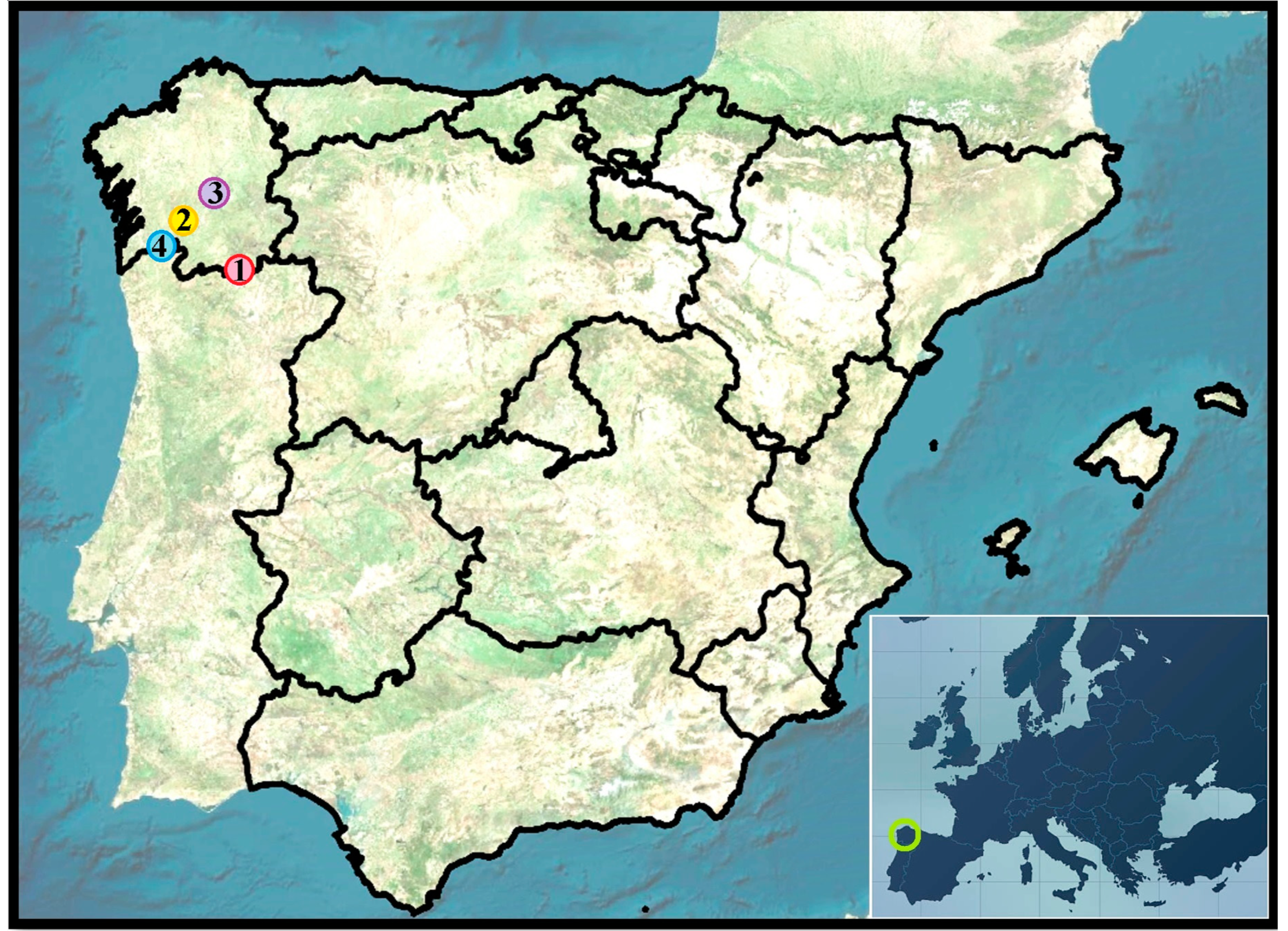 Sensors 23 02059 g001 Sensors 23 02059 g001