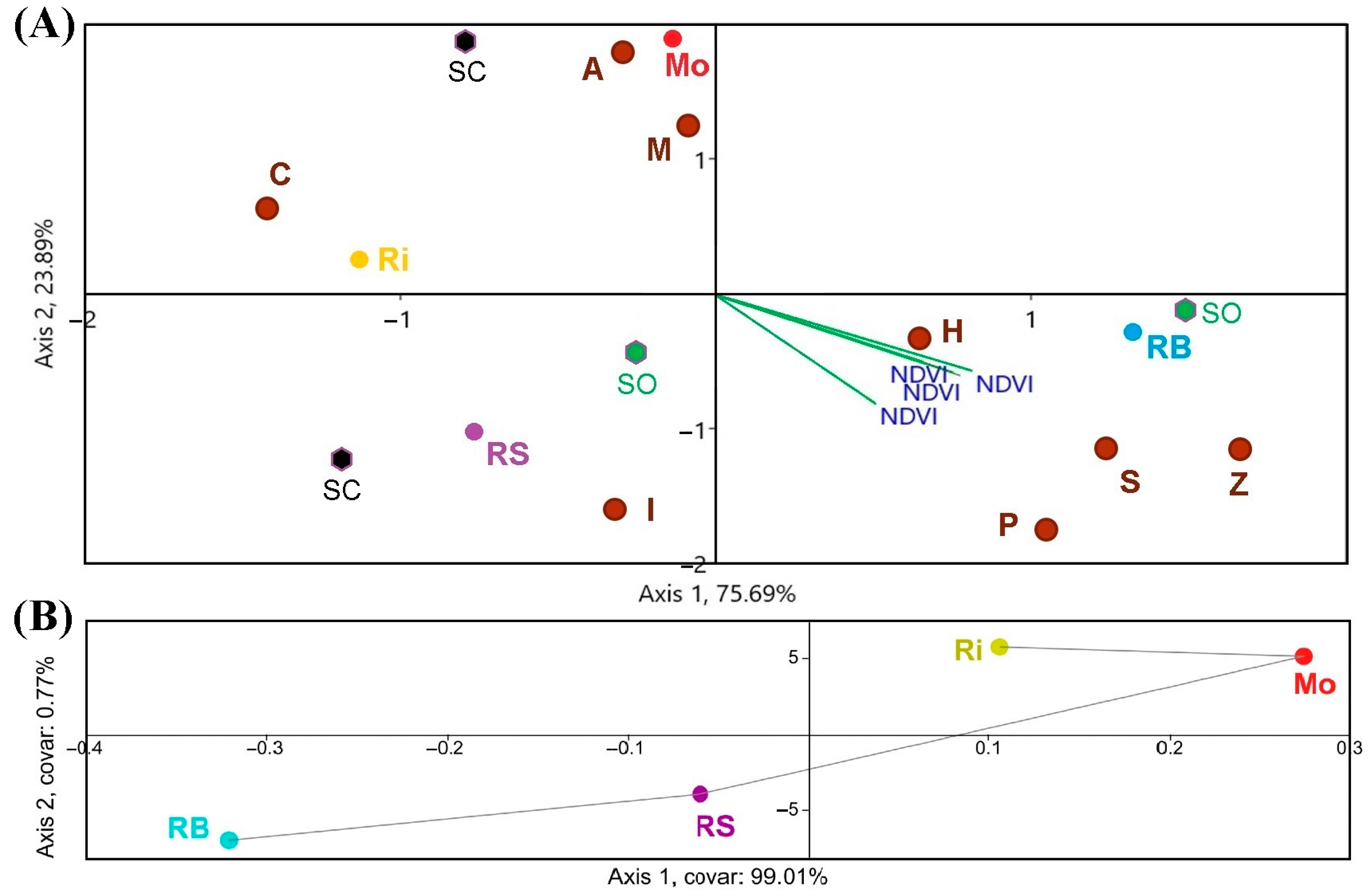Sensors 23 02059 g006 Sensors 23 02059 g006