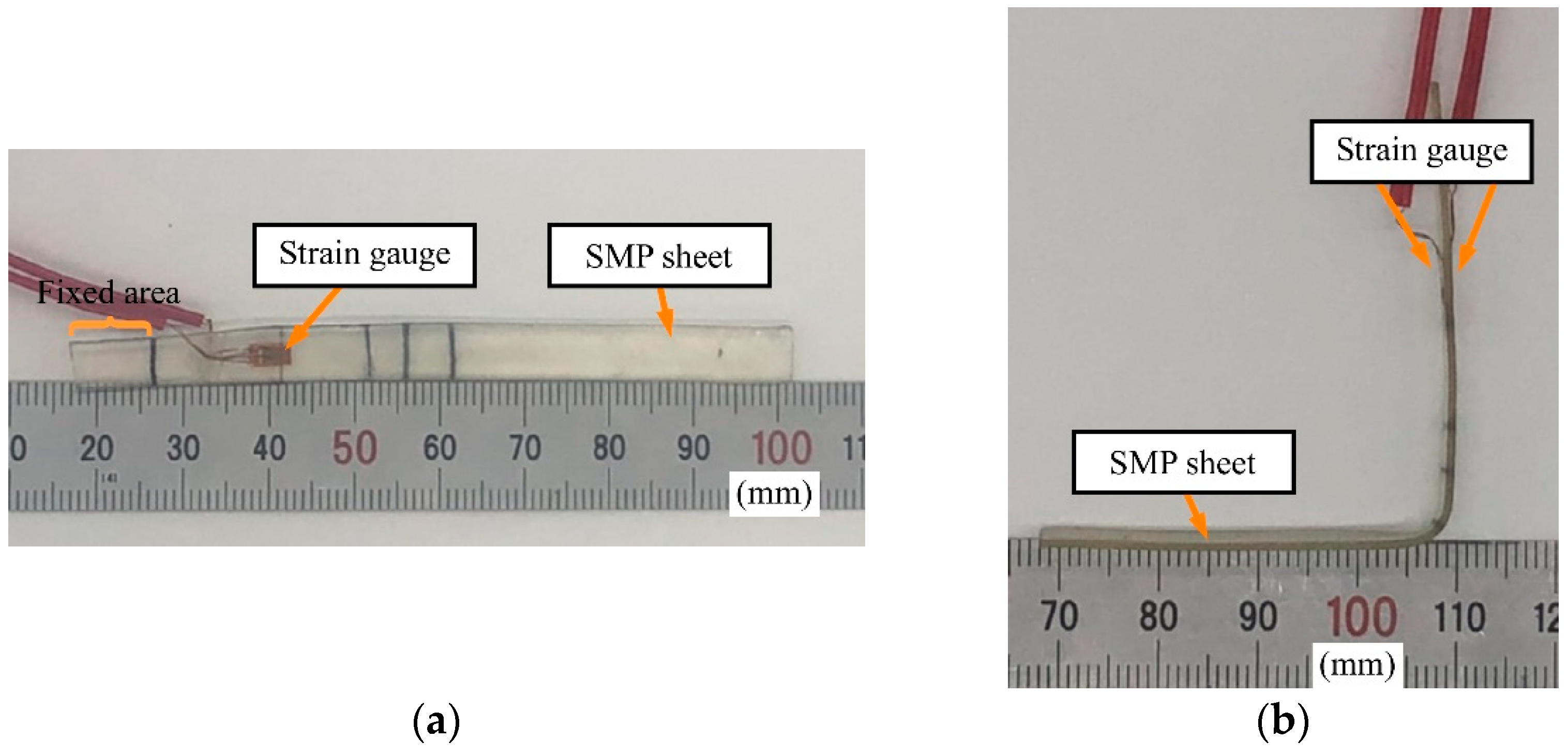 Sensors 23 02077 g006