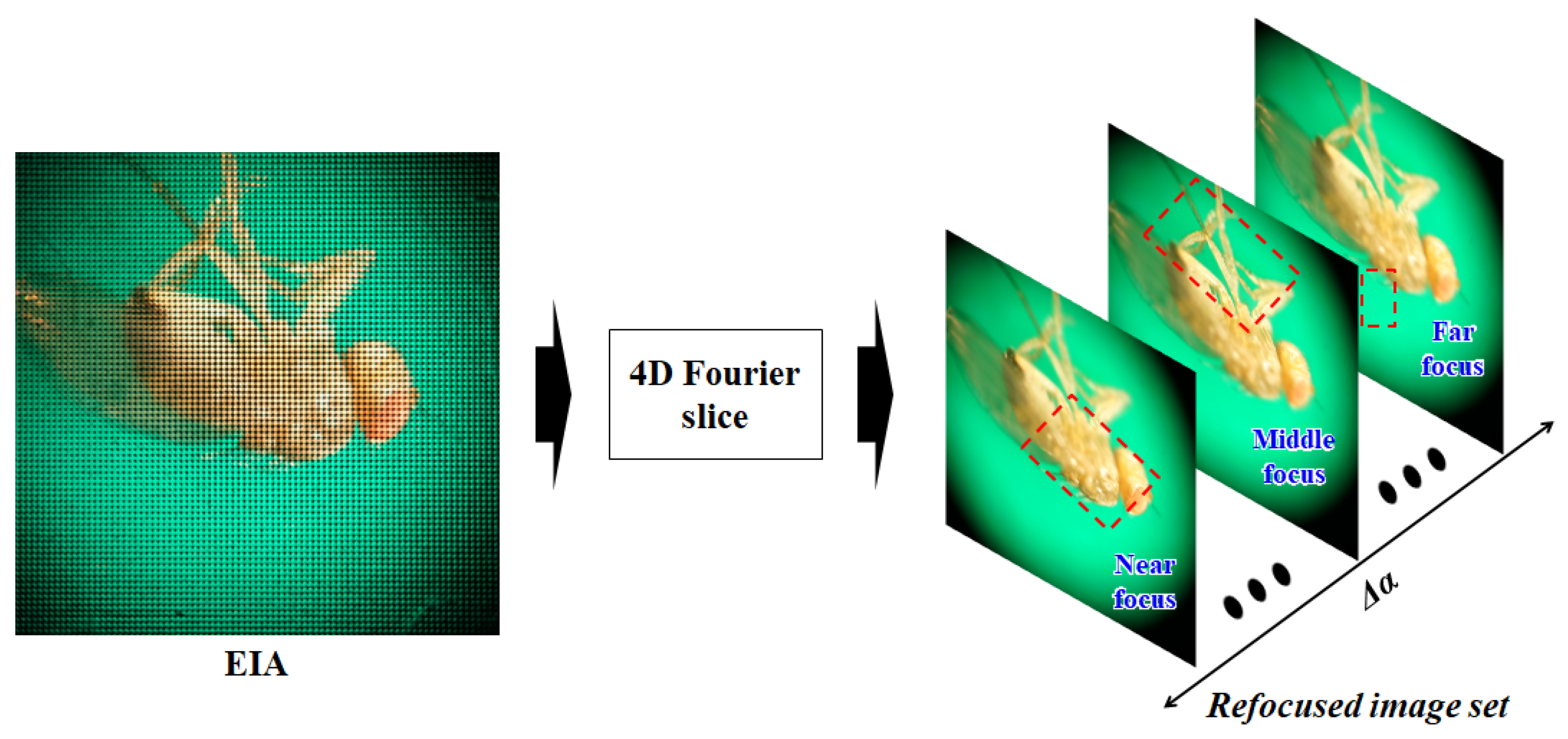 Sensors 23 02173 g003 Sensors 23 02173 g003