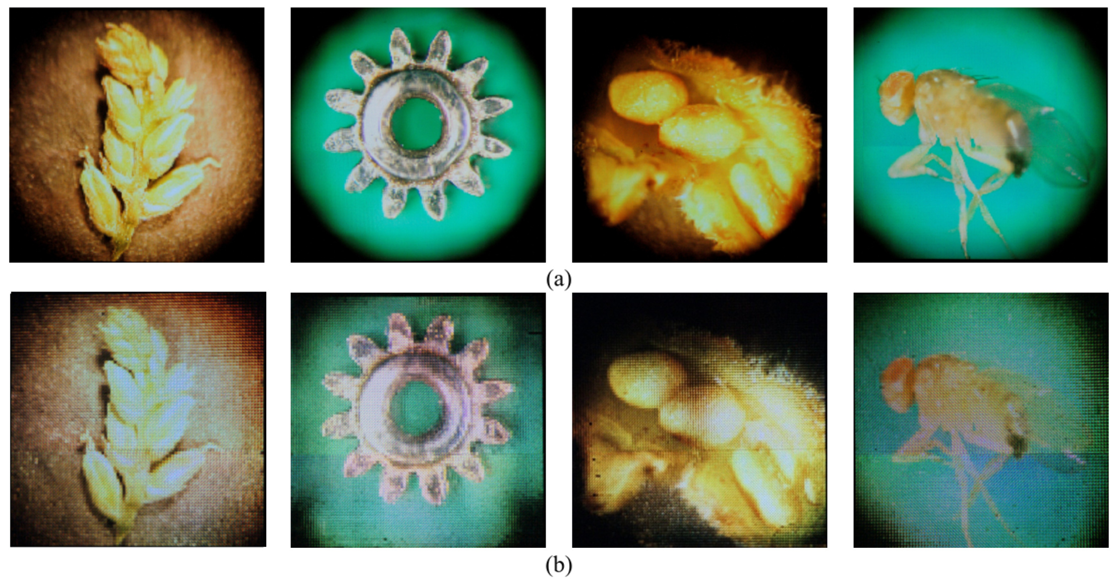 Sensors 23 02173 g014 Sensors 23 02173 g014