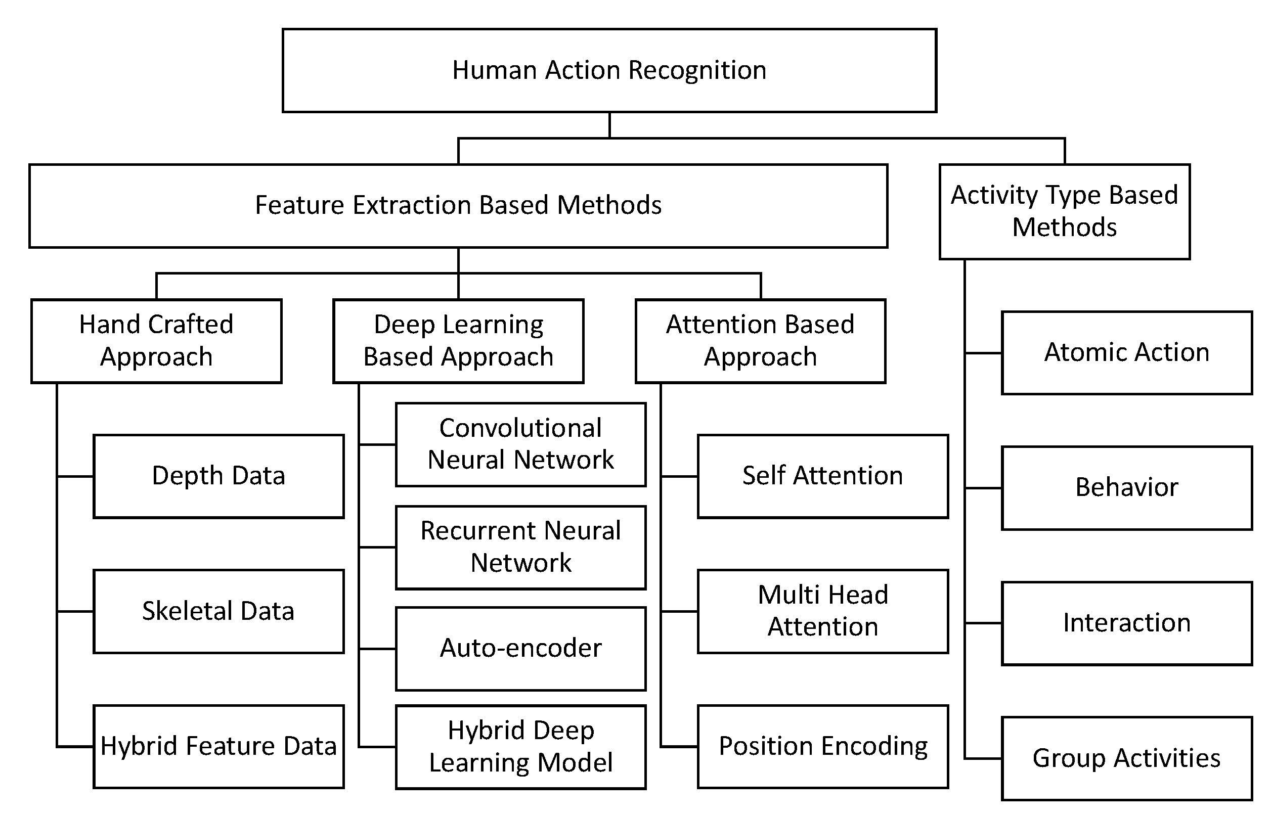 Human taxonomy chart
