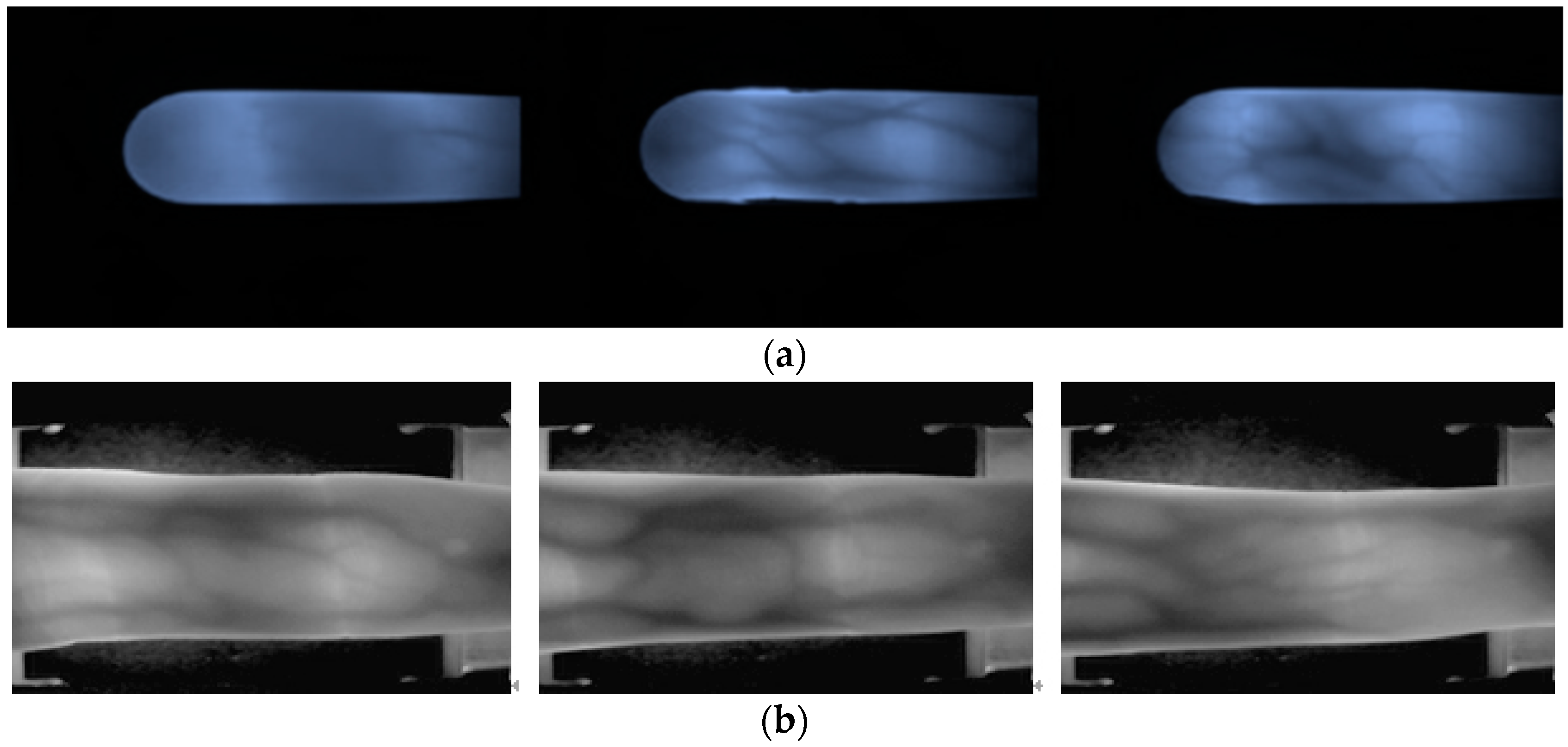 Sensors 23 02184 g013