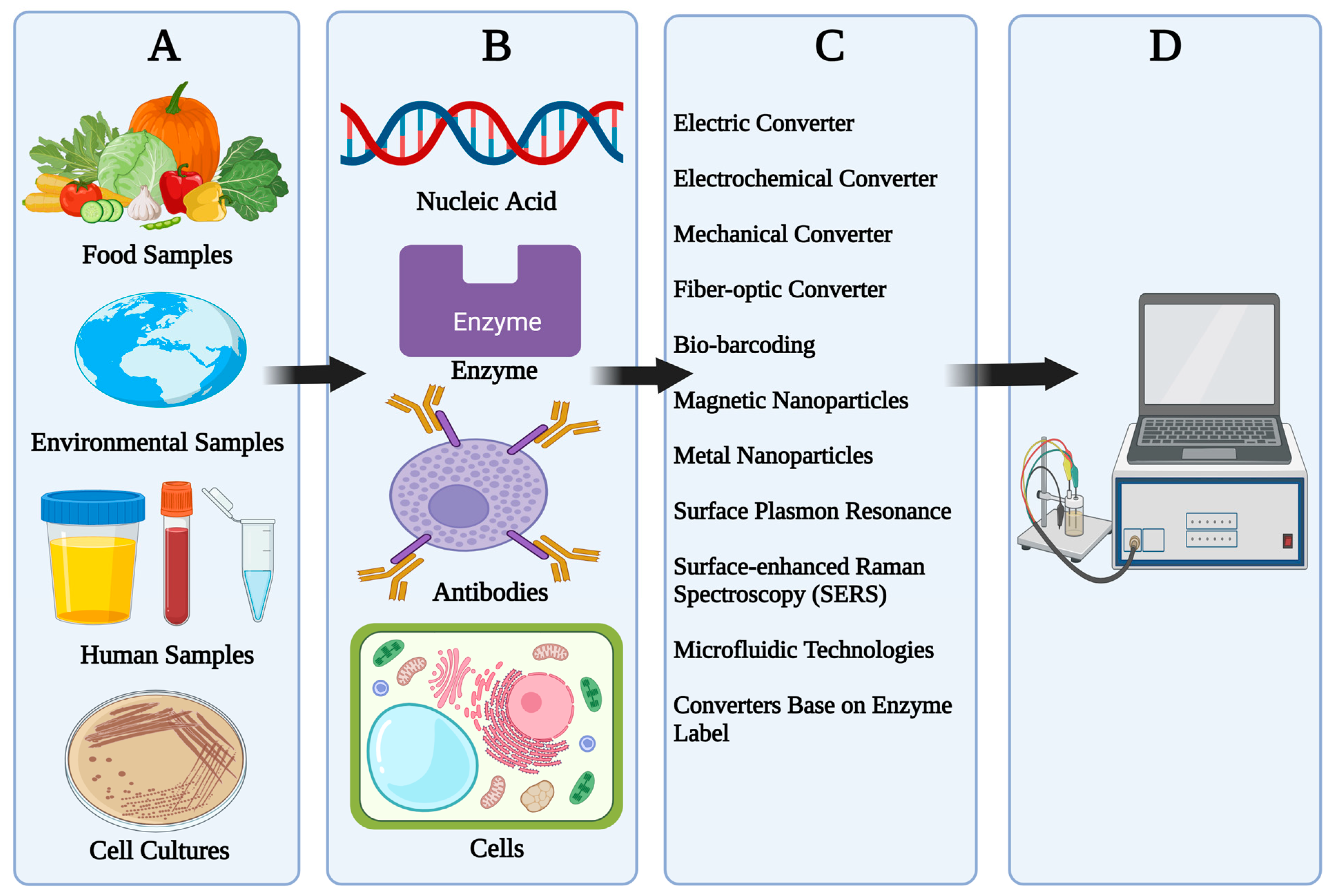 Nanoengineered material based biosensing electrodes for enzymatic