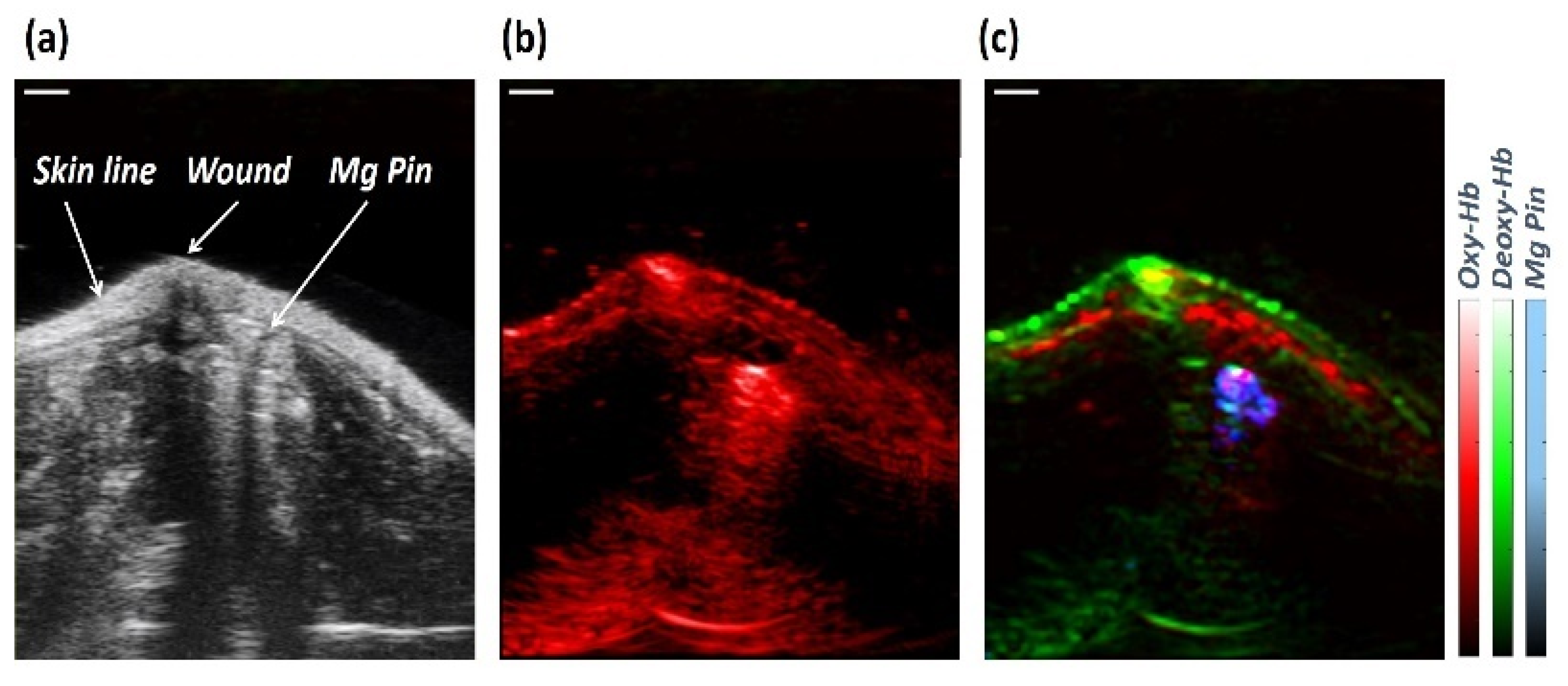 Sensors 23 02297 g006