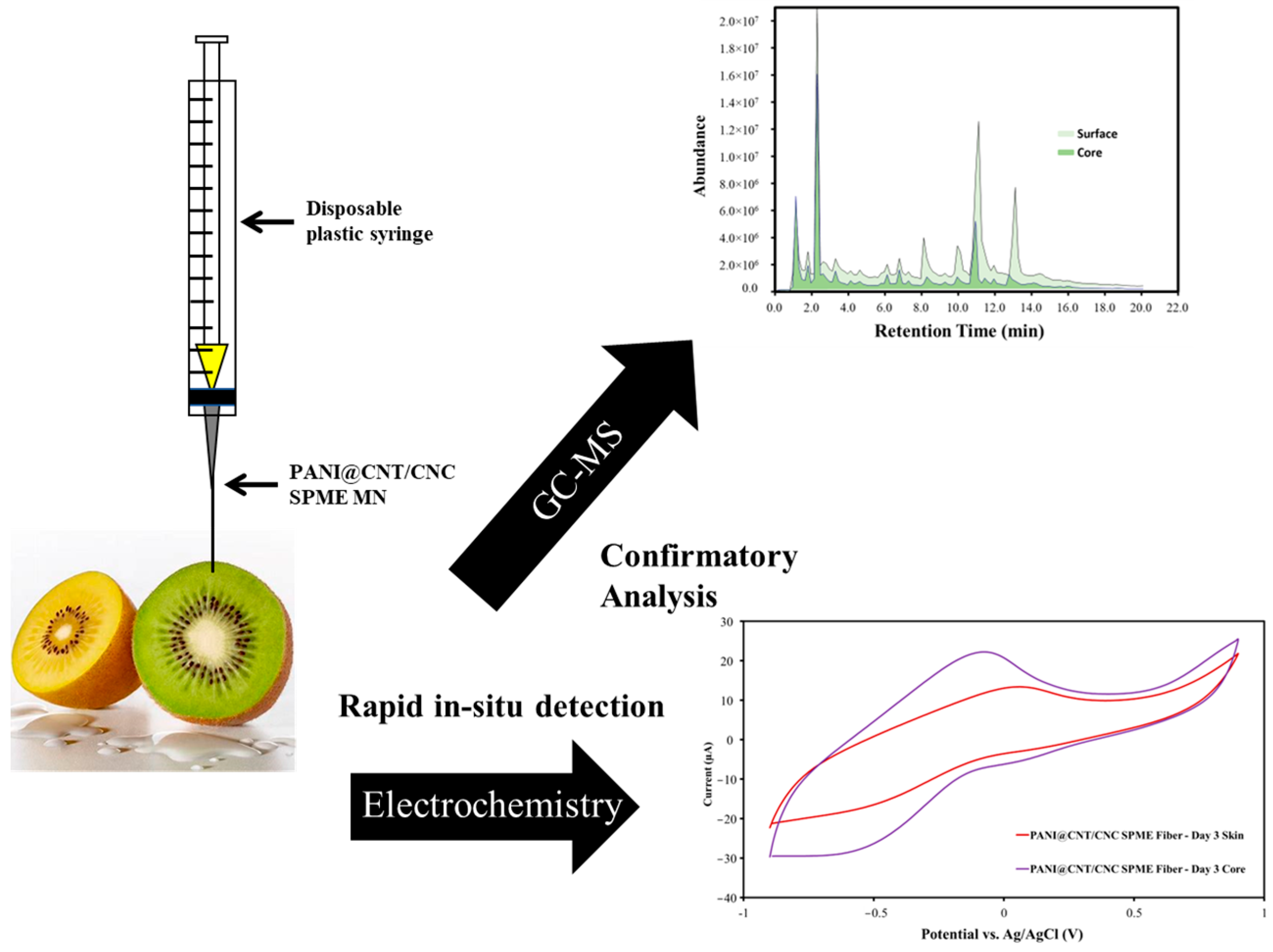 Sensors 23 02317 g001 Sensors 23 02317 g001