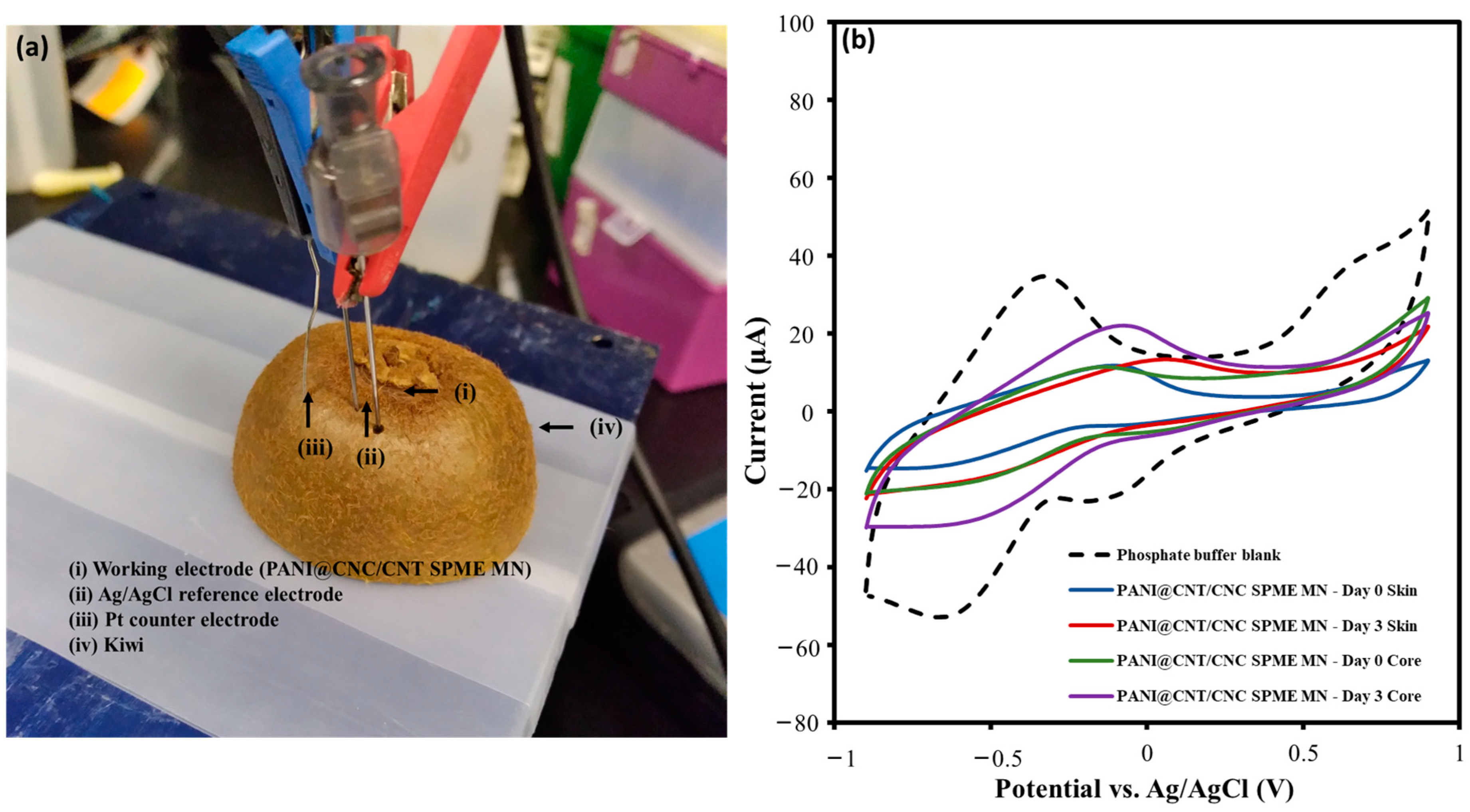 Sensors 23 02317 g008 Sensors 23 02317 g008
