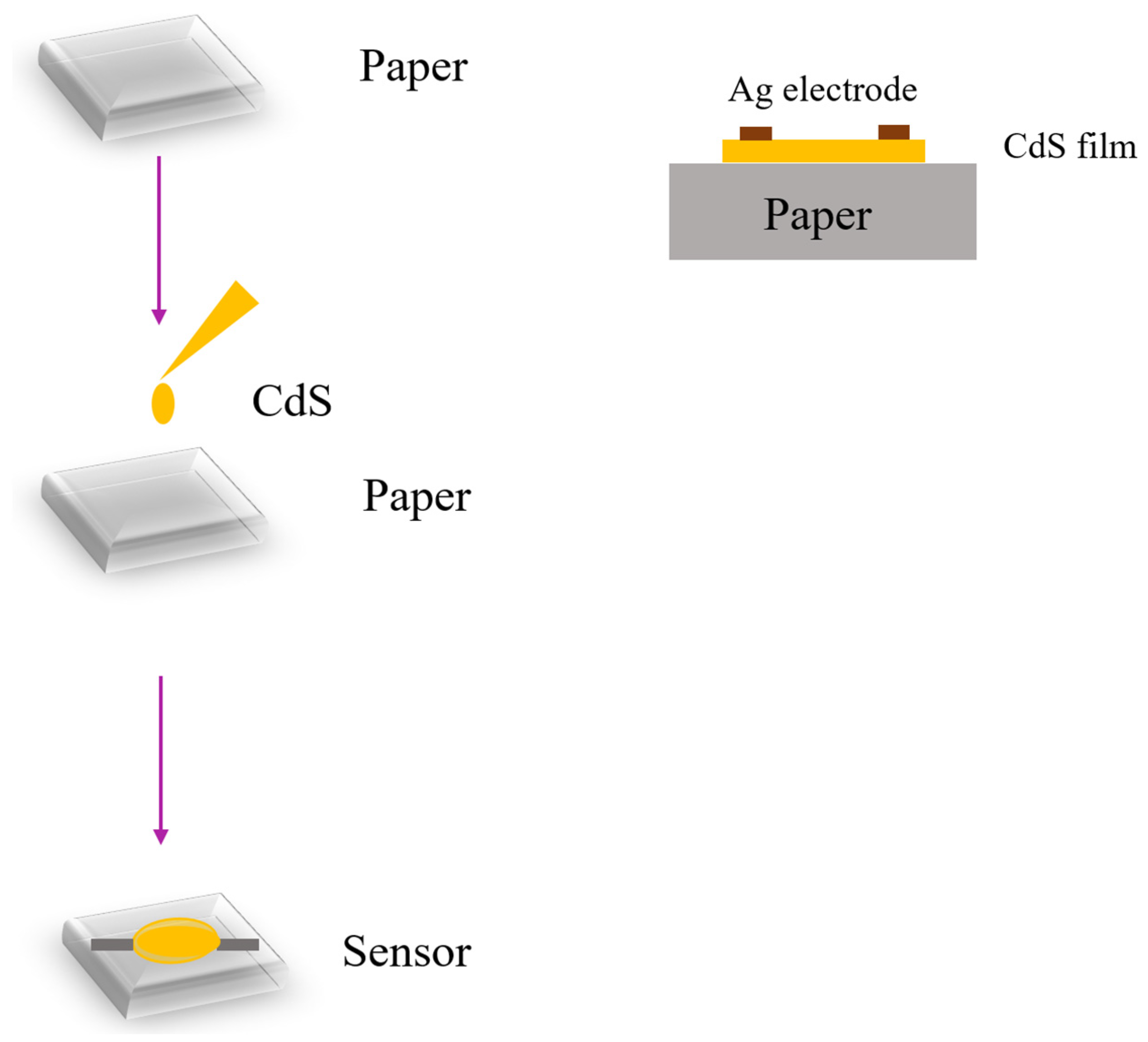 Sensors 23 02328 g004 Sensors 23 02328 g004