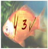 Sensors 23 02338 i012 Sensors 23 02338 i012