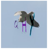 Sensors 23 02338 i017 Sensors 23 02338 i017