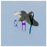 Sensors 23 02338 i018 Sensors 23 02338 i018