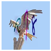 Sensors 23 02338 i022 Sensors 23 02338 i022