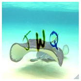 Sensors 23 02338 i027 Sensors 23 02338 i027