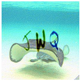 Sensors 23 02338 i028 Sensors 23 02338 i028