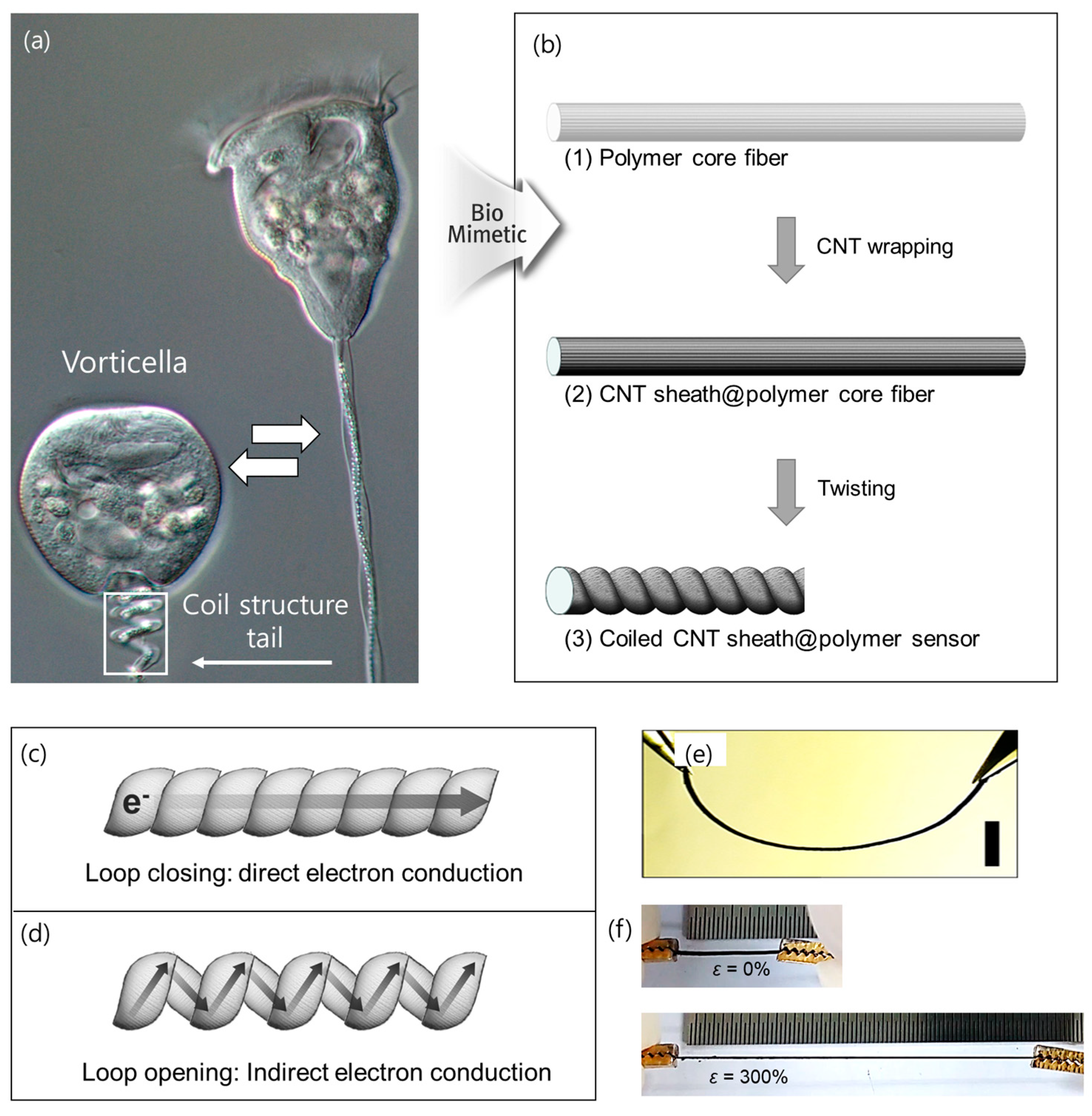 Sensors 23 02359 g001 Sensors 23 02359 g001