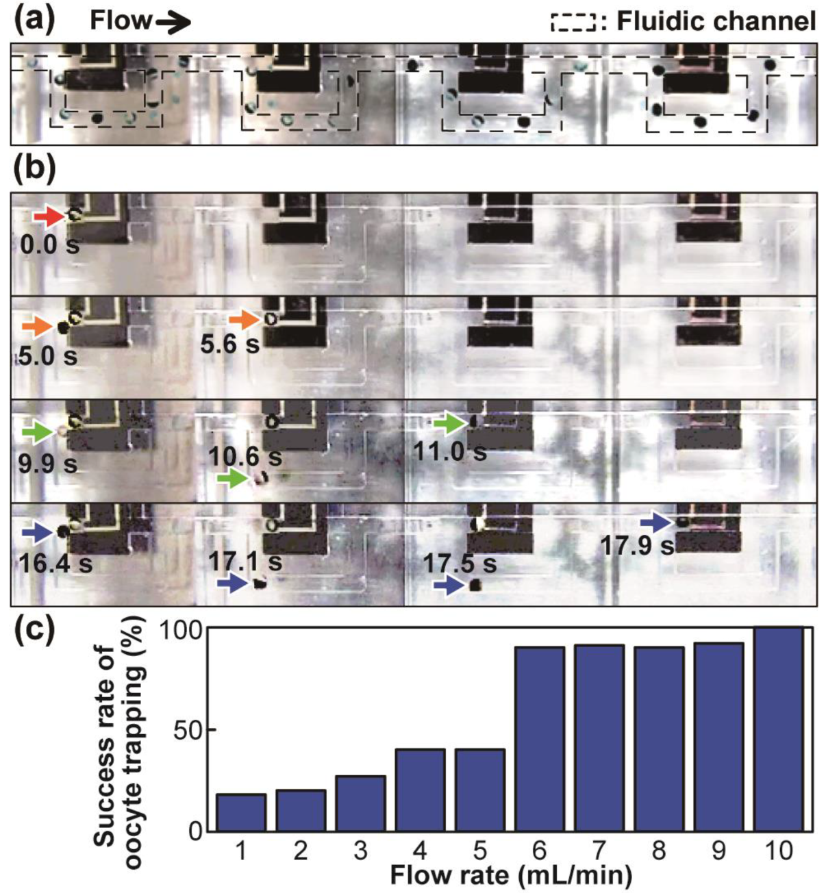 Sensors 23 02370 g004
