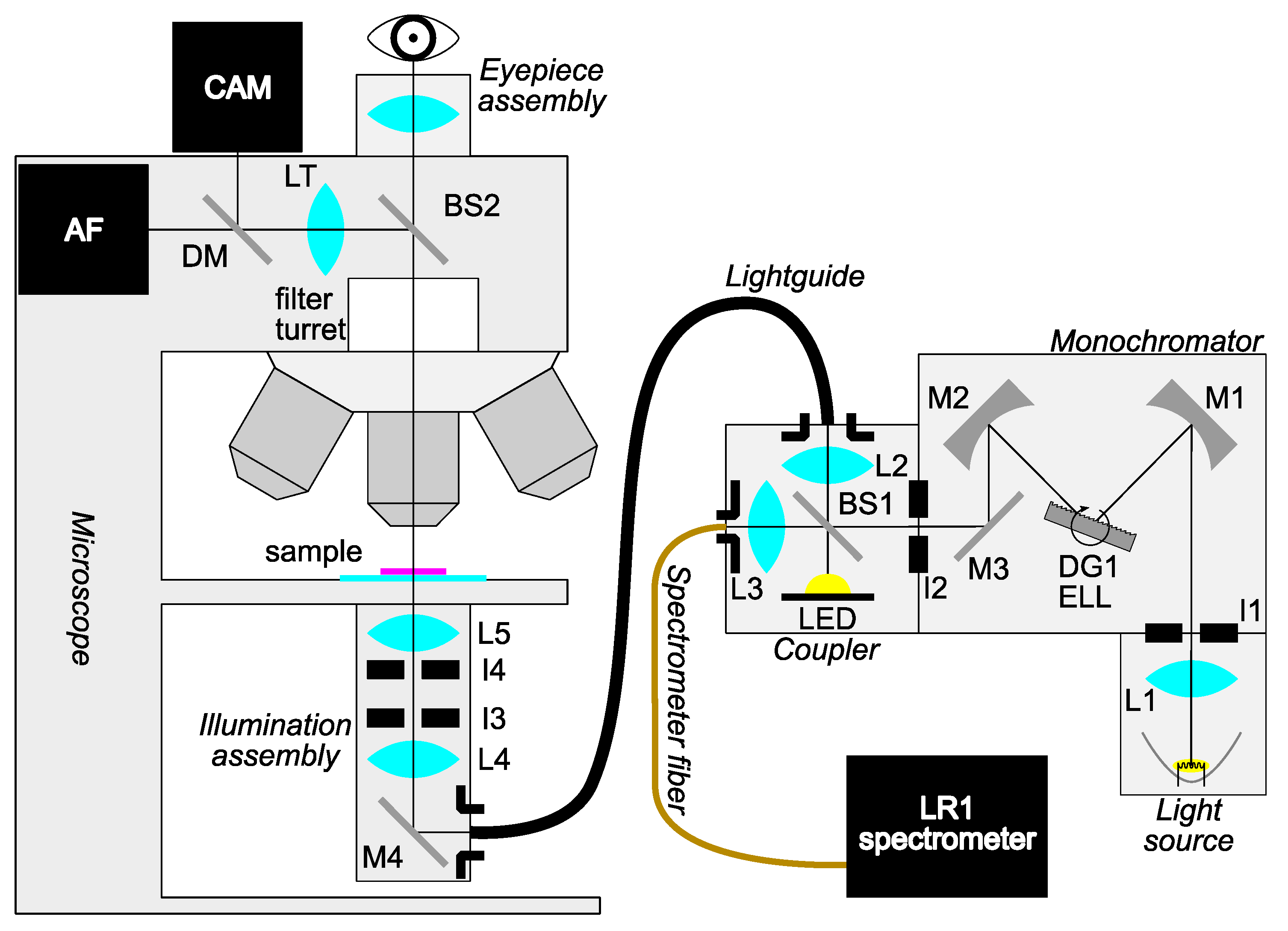 Sensors Free FullText Design and Validation of a CustomMade