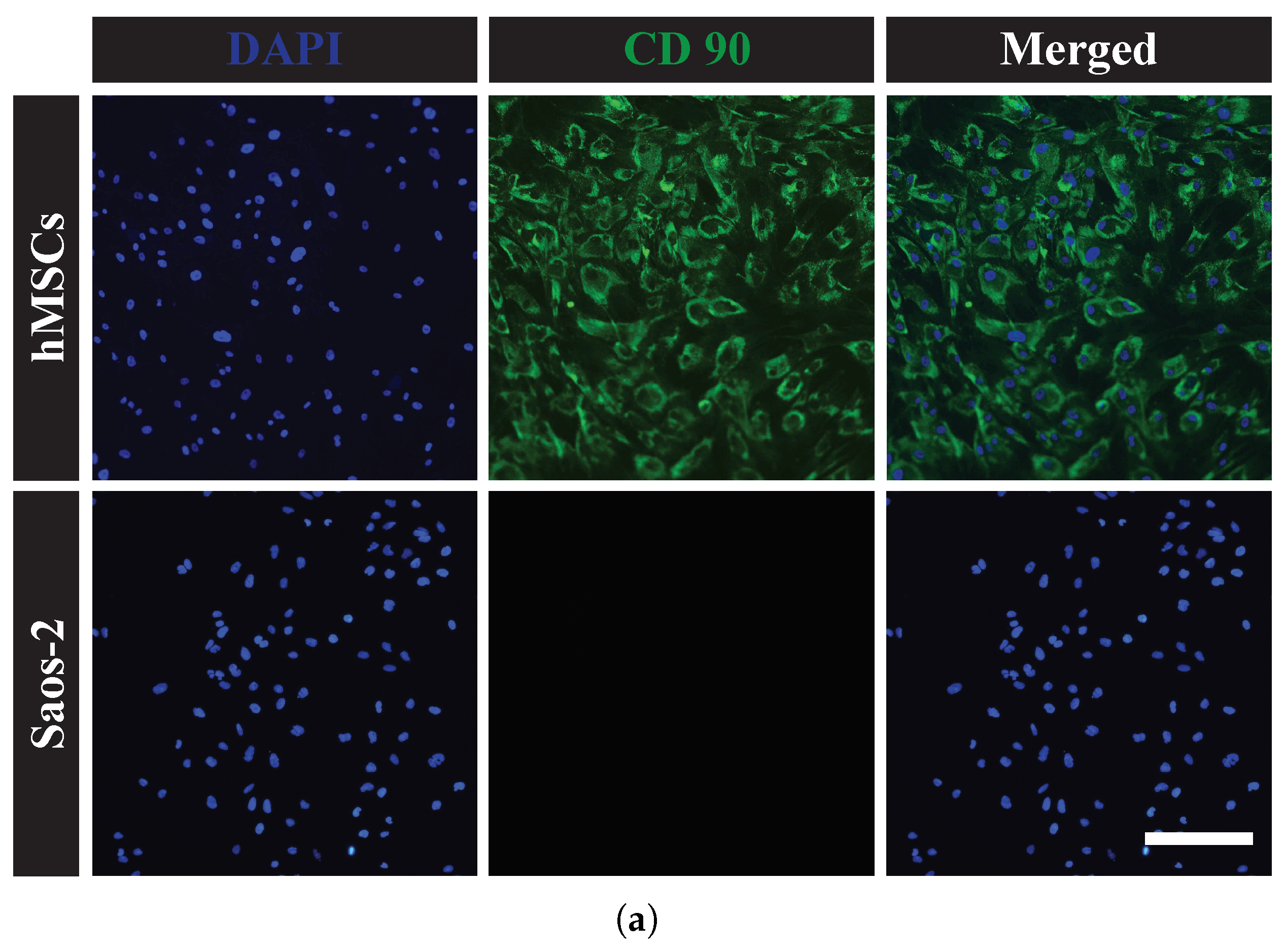 Sensors 23 02397 g003a Sensors 23 02397 g003a