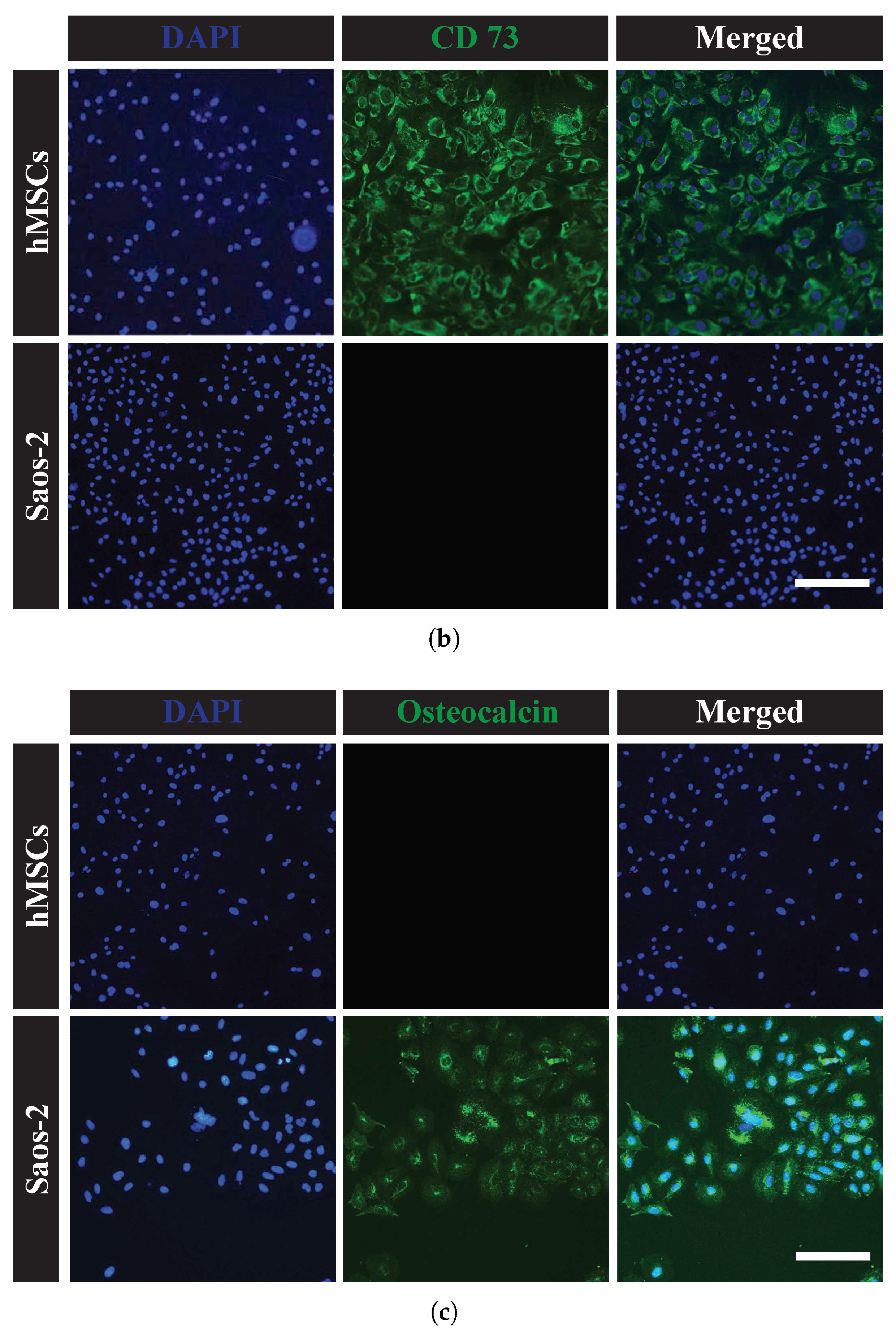 Sensors 23 02397 g003b Sensors 23 02397 g003b