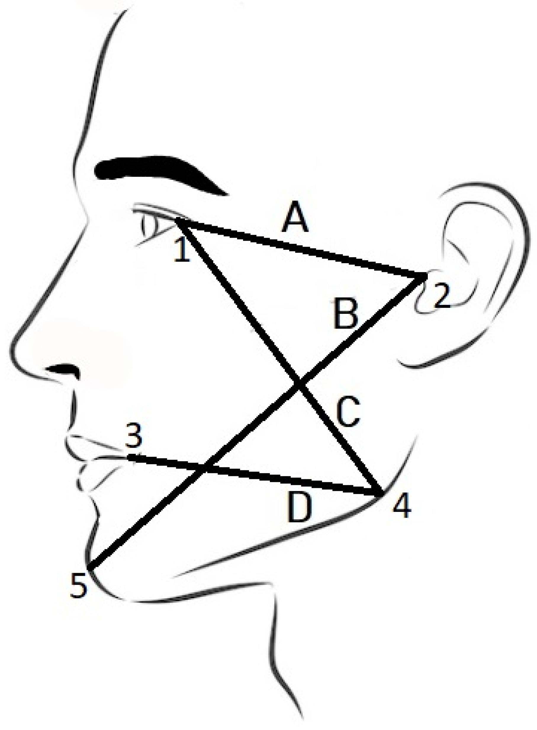 Sensors 23 02412 g002 Sensors 23 02412 g002