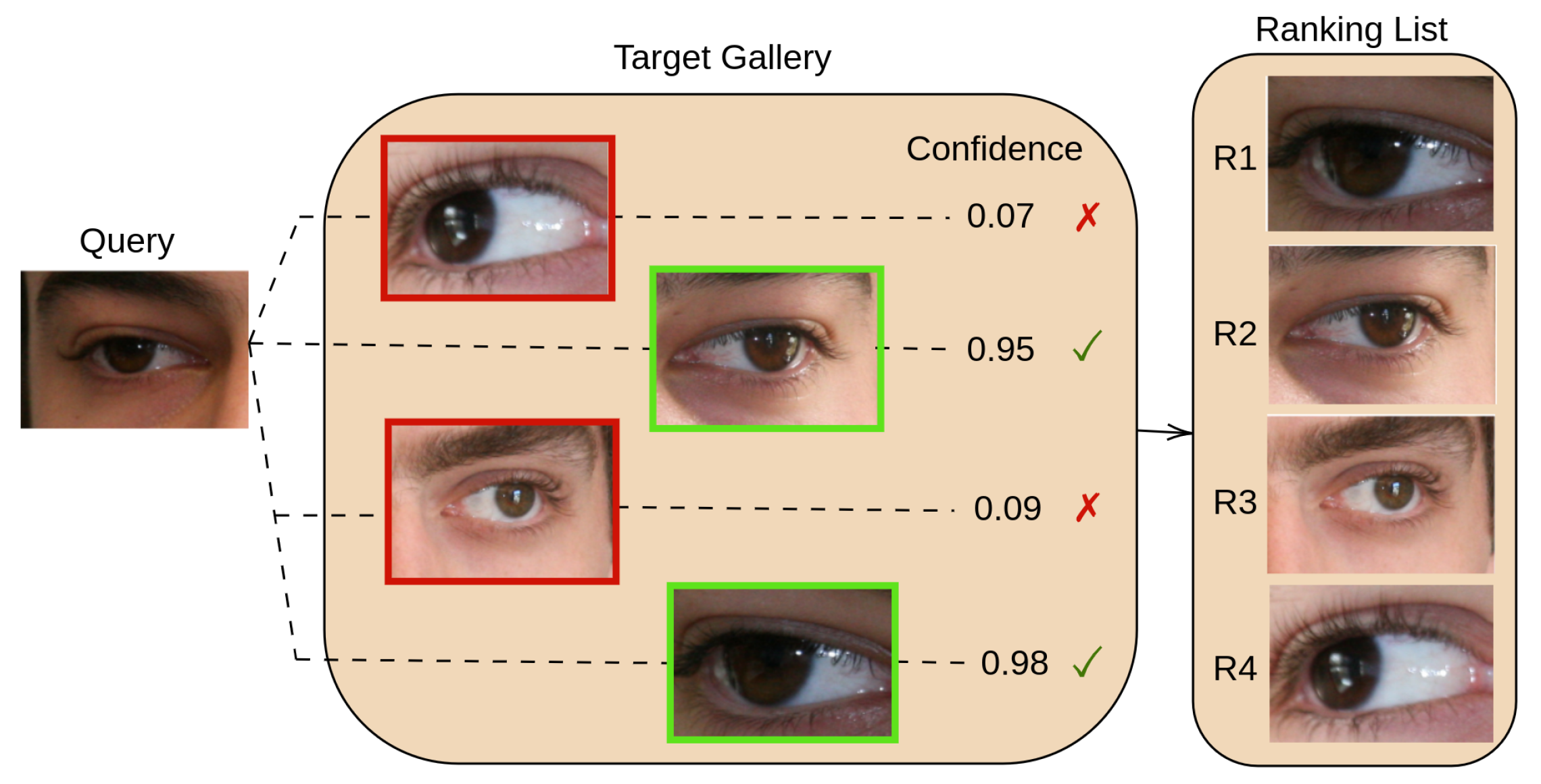 Adaptive Spatial Transformation Networks for Periocular