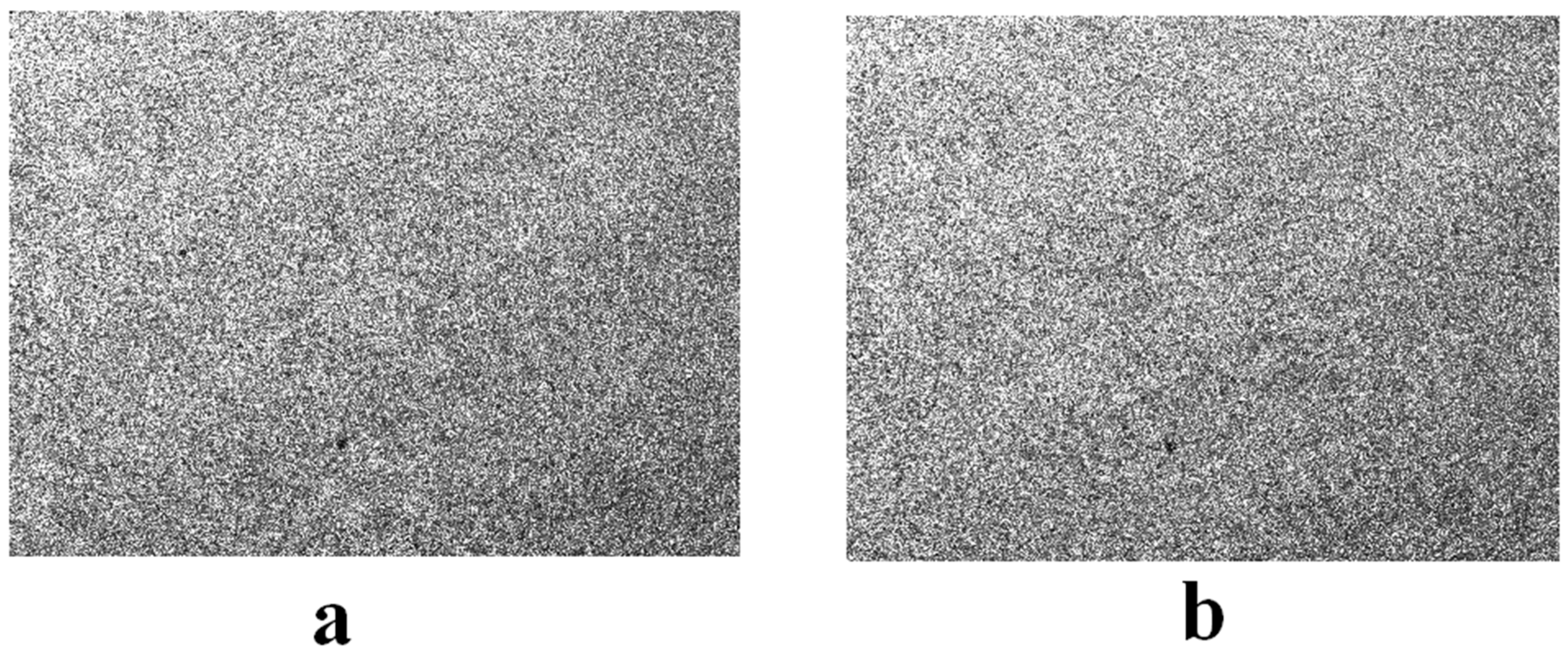 Sensors 23 02468 g004 Sensors 23 02468 g004