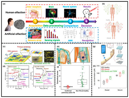 130サイズセット⑧ Advances in electrode and electrolyte materials of fiber