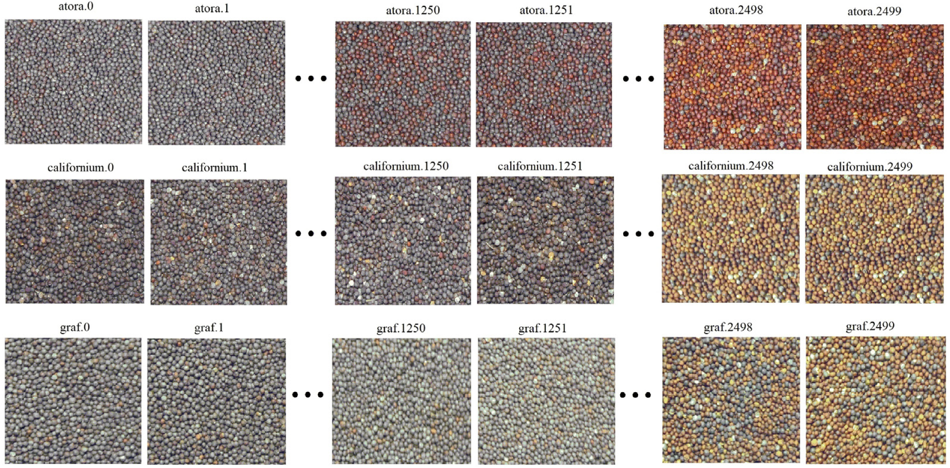 Sensors 23 02486 g002 Sensors 23 02486 g002