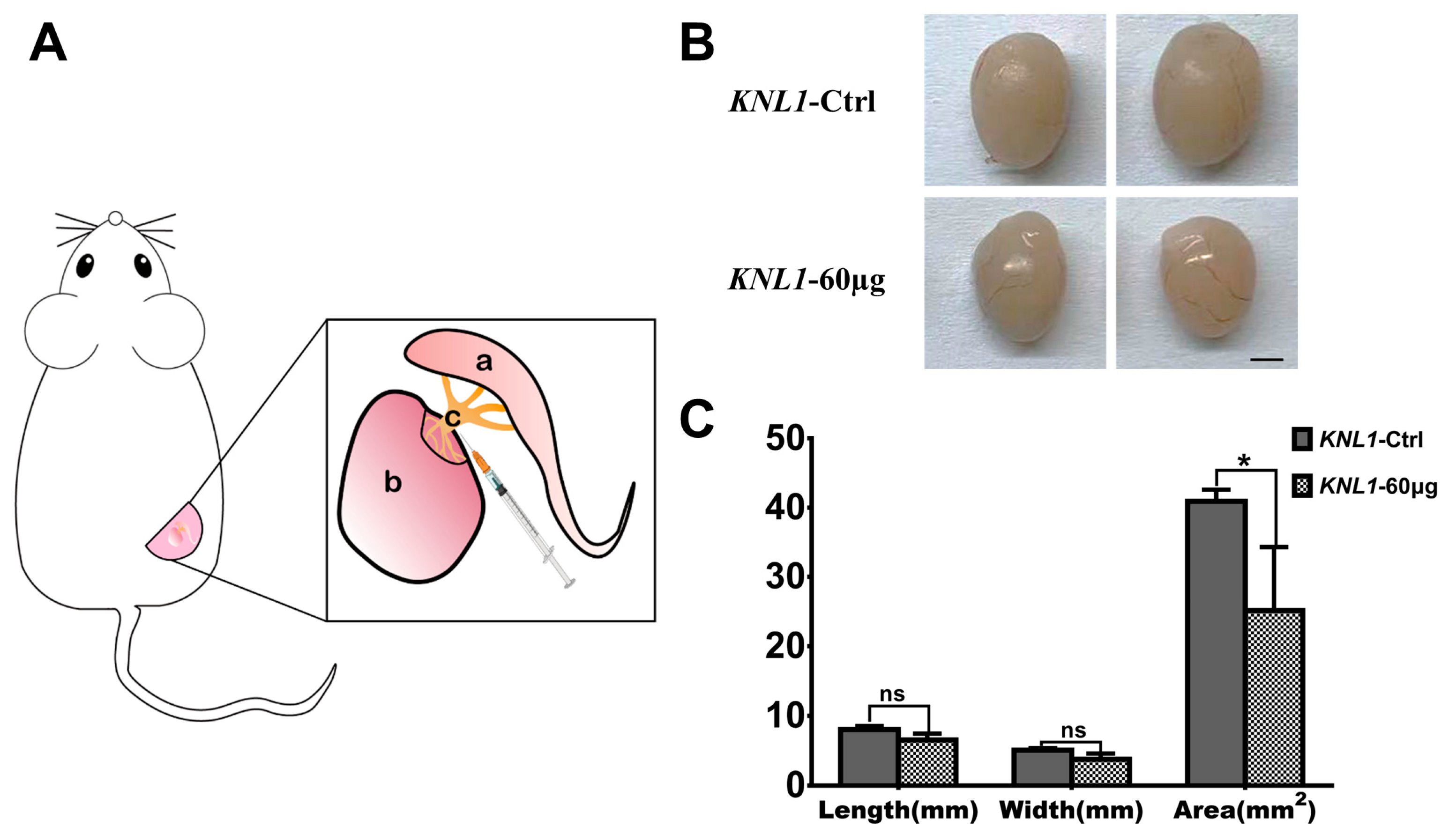 Sensors 23 02571 g002 Sensors 23 02571 g002