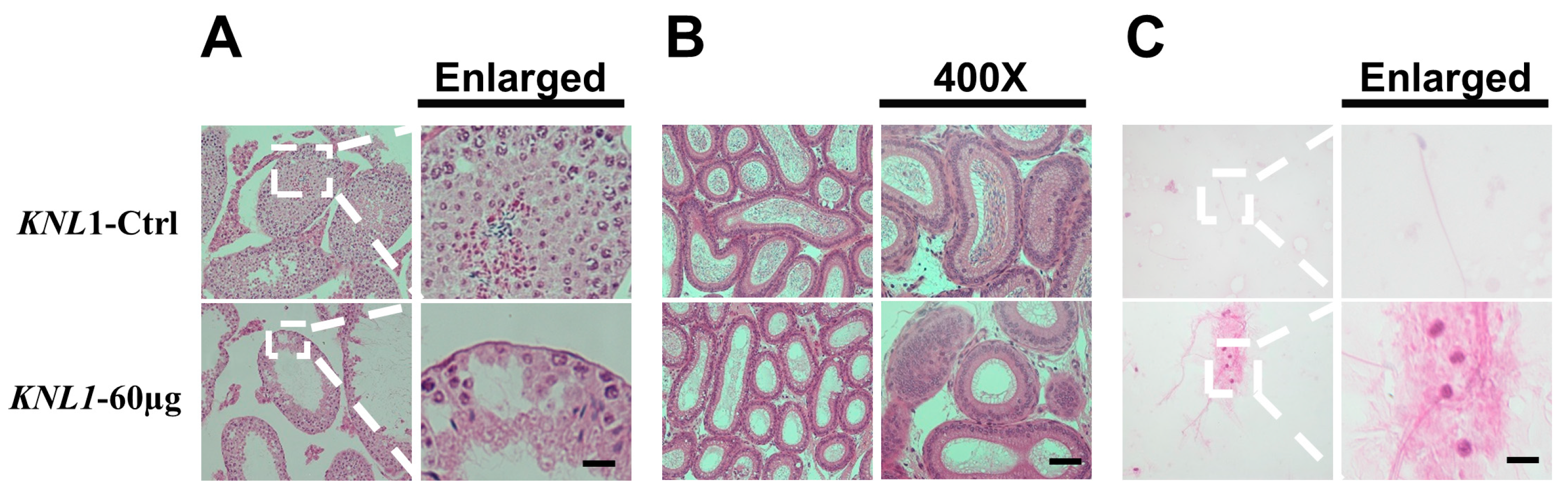 Sensors 23 02571 g003 Sensors 23 02571 g003