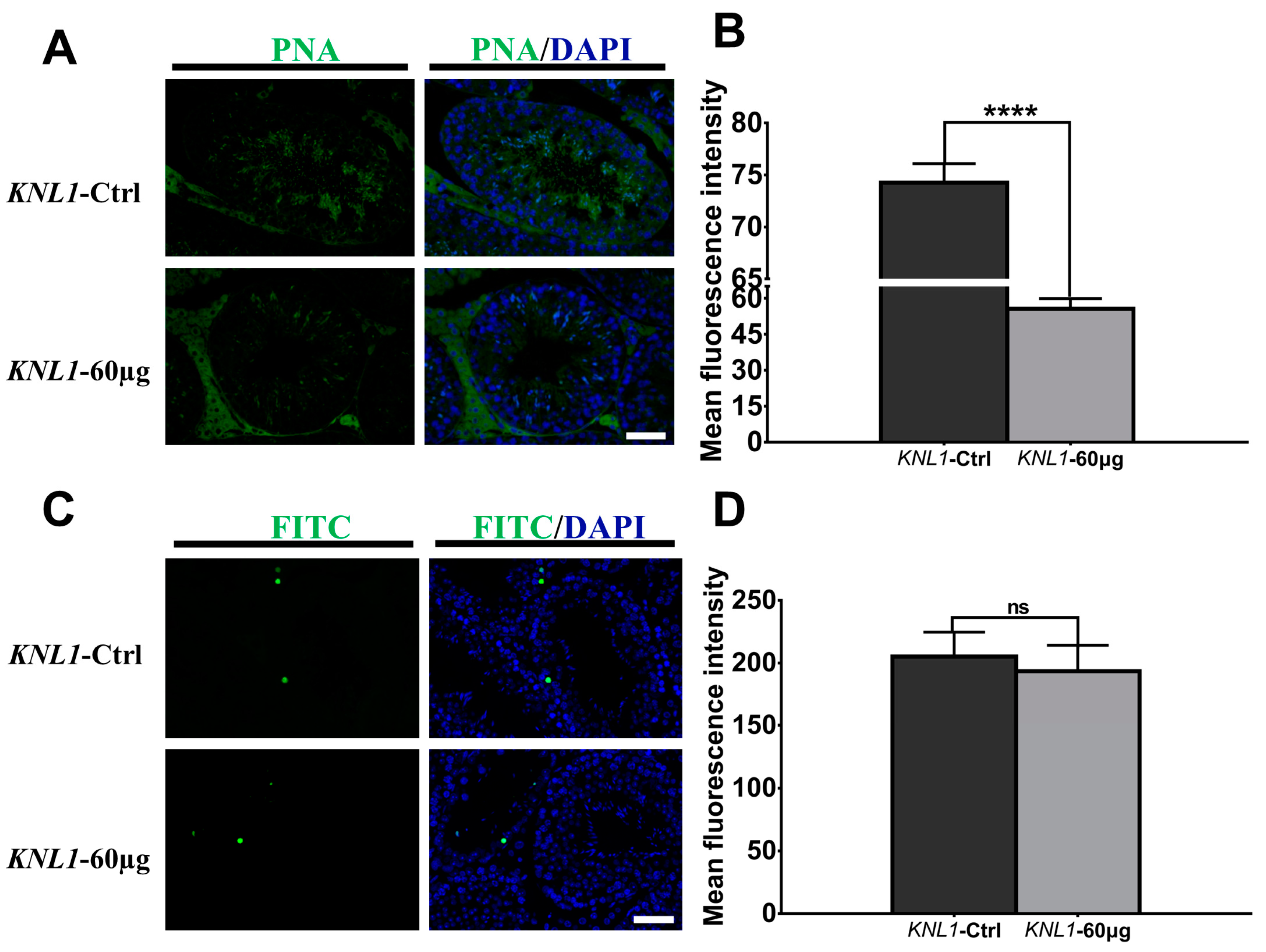Sensors 23 02571 g005 Sensors 23 02571 g005