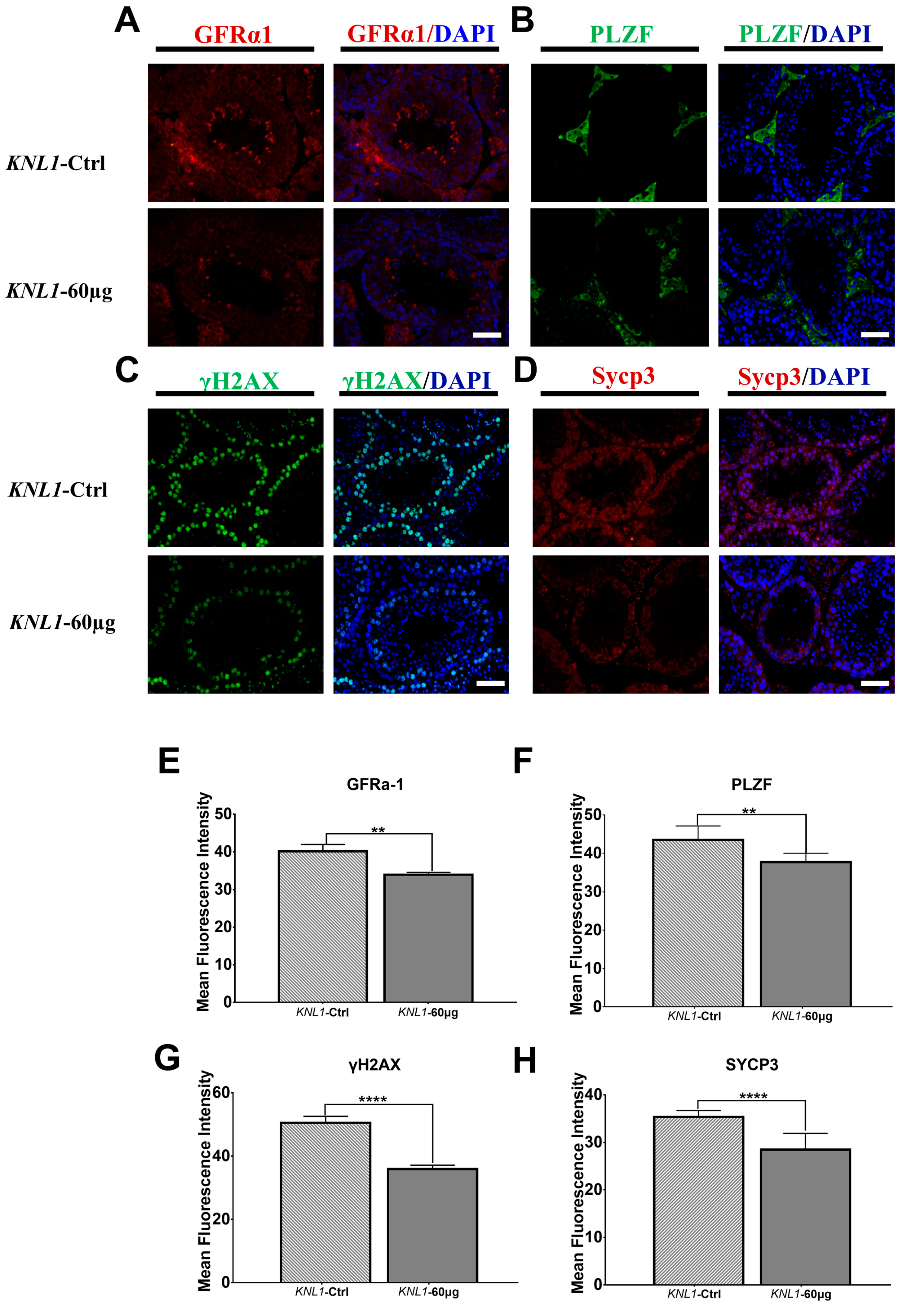 Sensors 23 02571 g007 Sensors 23 02571 g007