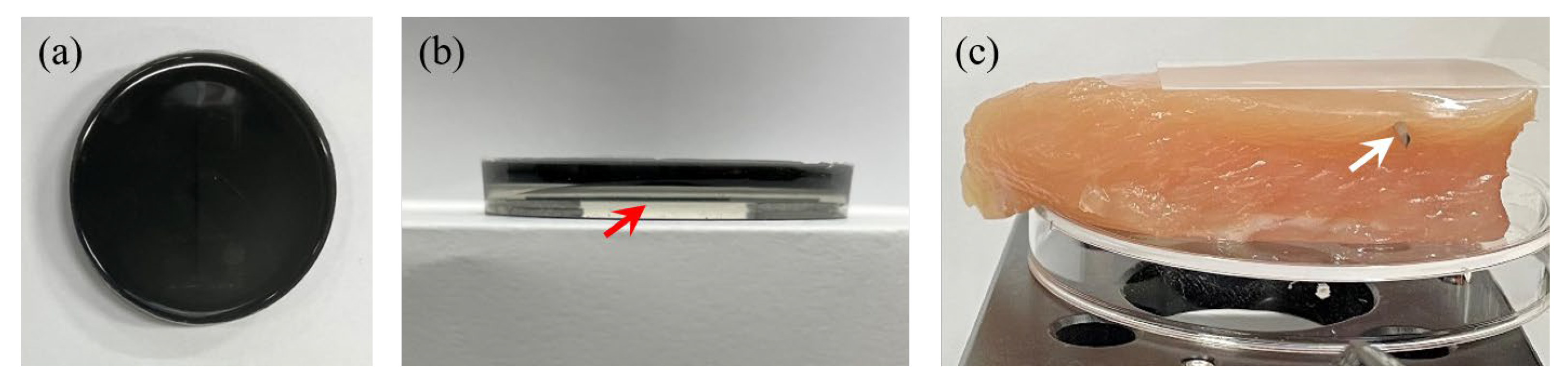 Sensors 23 02635 g007