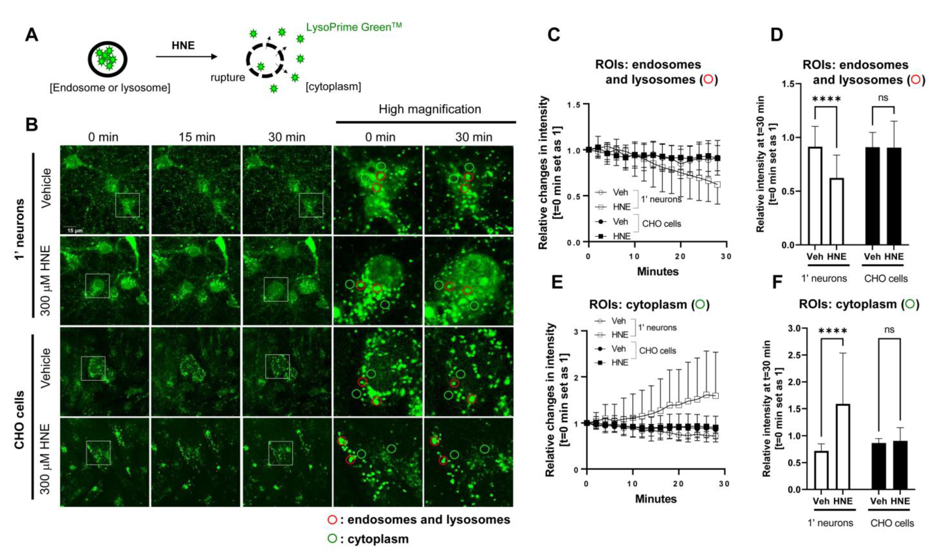 Sensors 23 02651 g002 Sensors 23 02651 g002