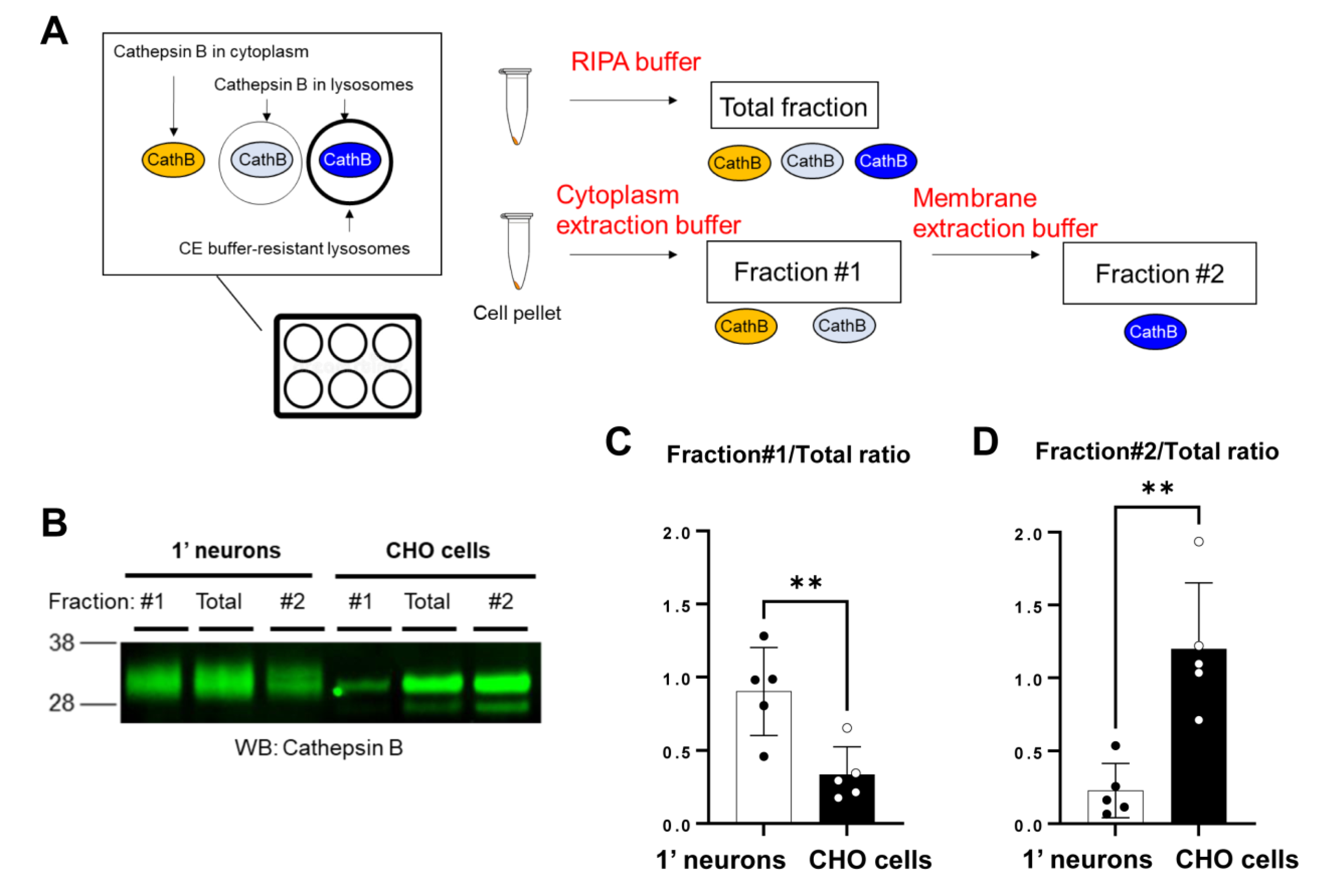 Sensors 23 02651 g003 Sensors 23 02651 g003